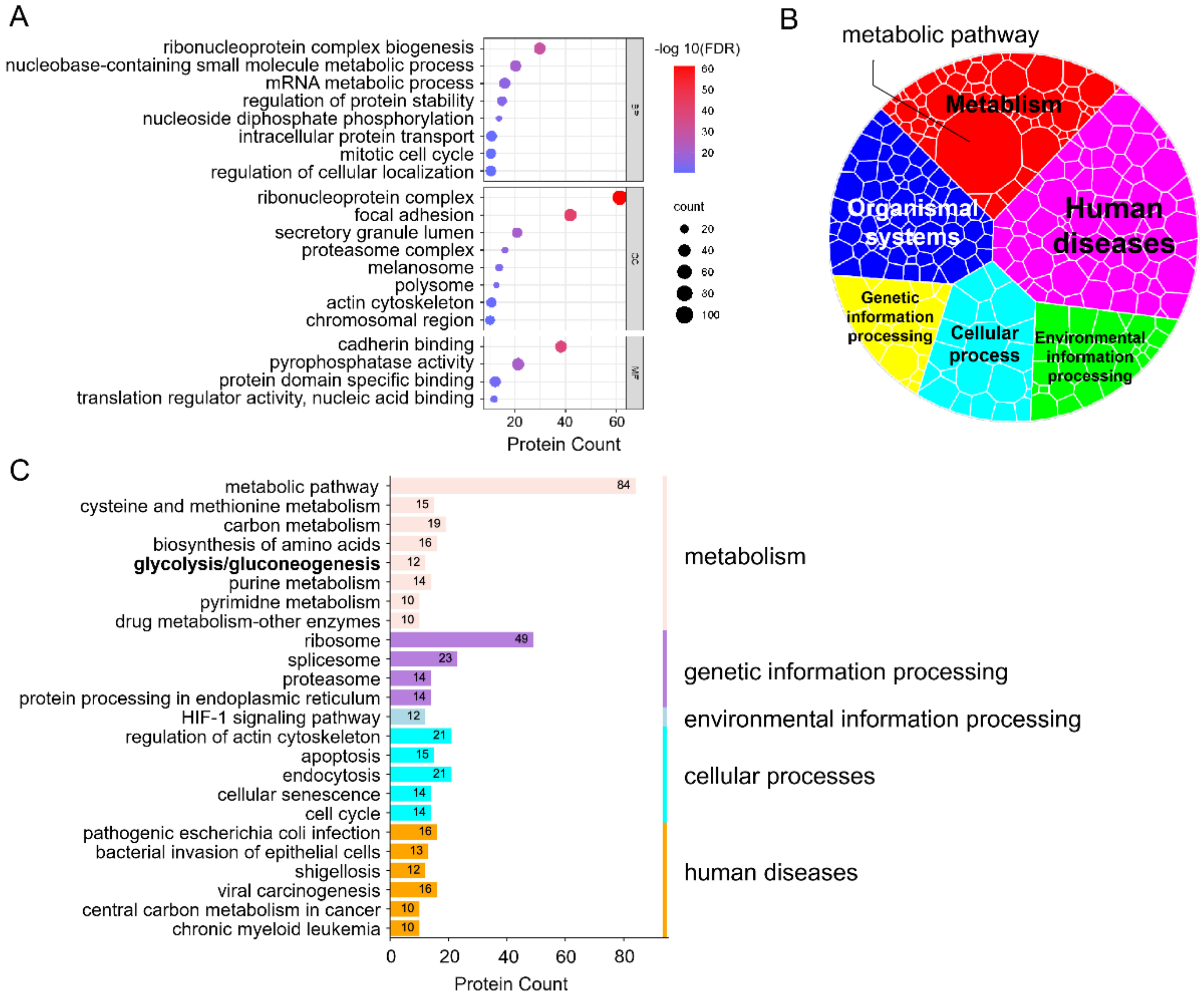 Biomolecules 12 01568 g002