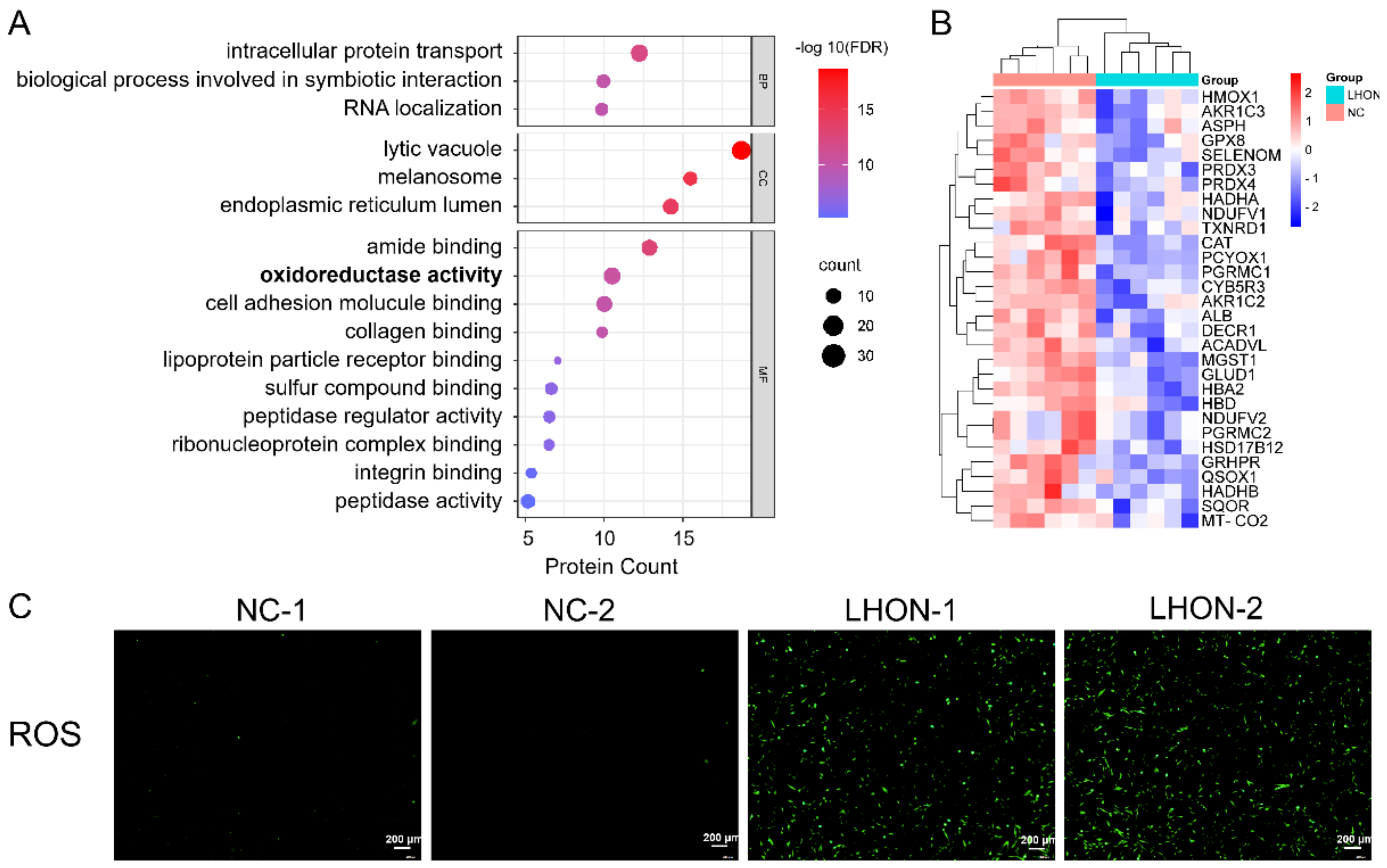 Biomolecules 12 01568 g005