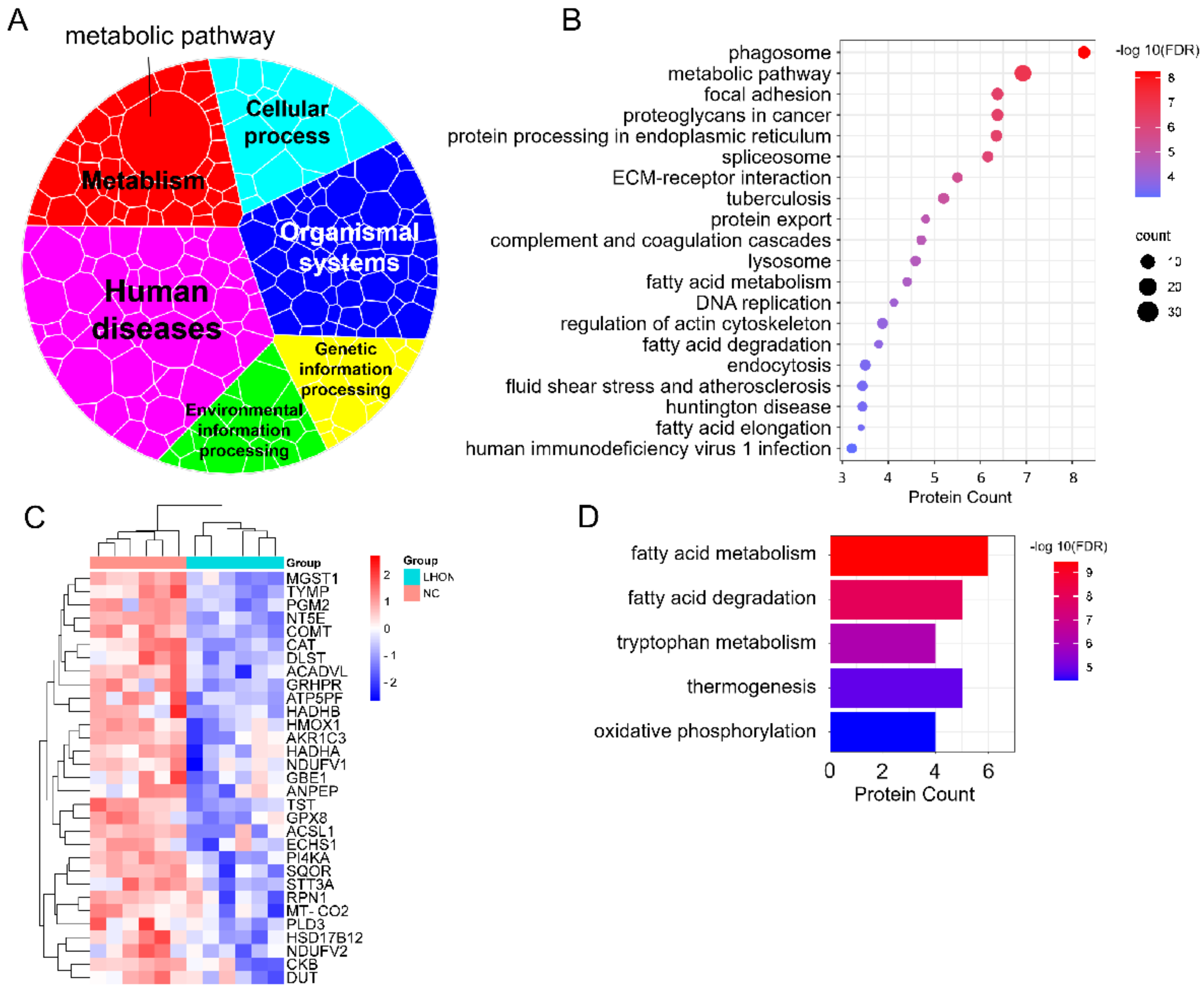 Biomolecules 12 01568 g006
