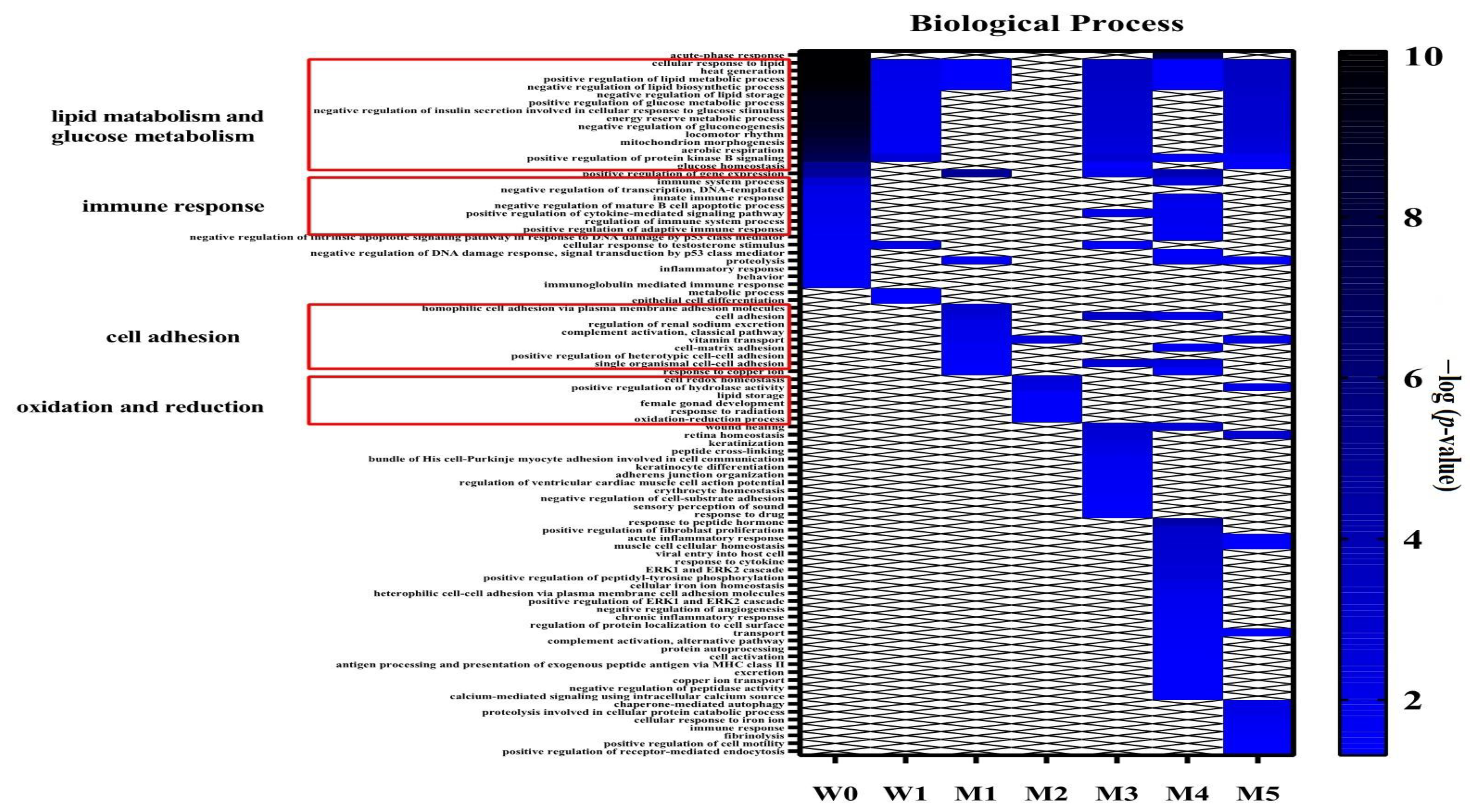 Biomolecules 12 01569 g005