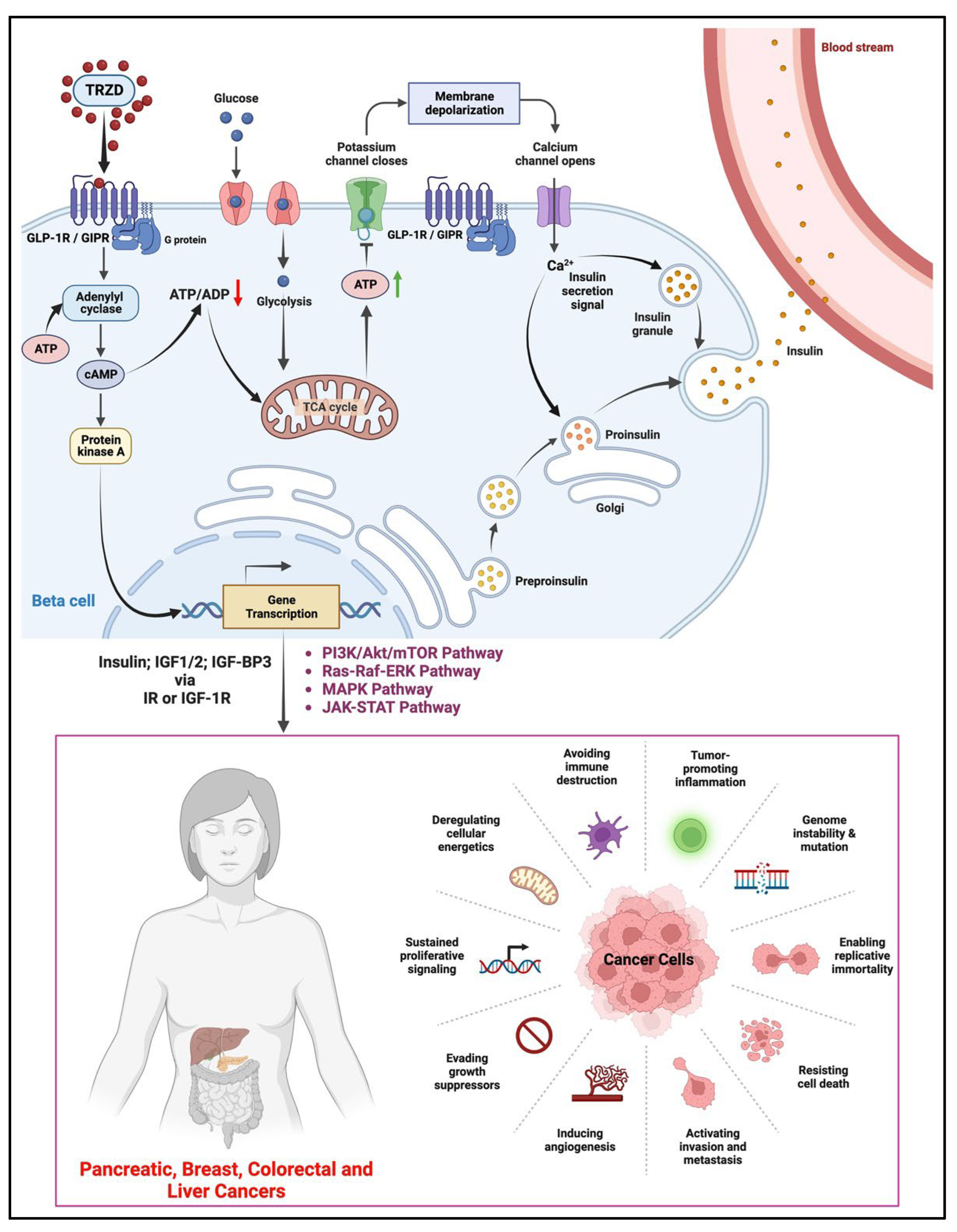 Biomolecules 12 01580 g002
