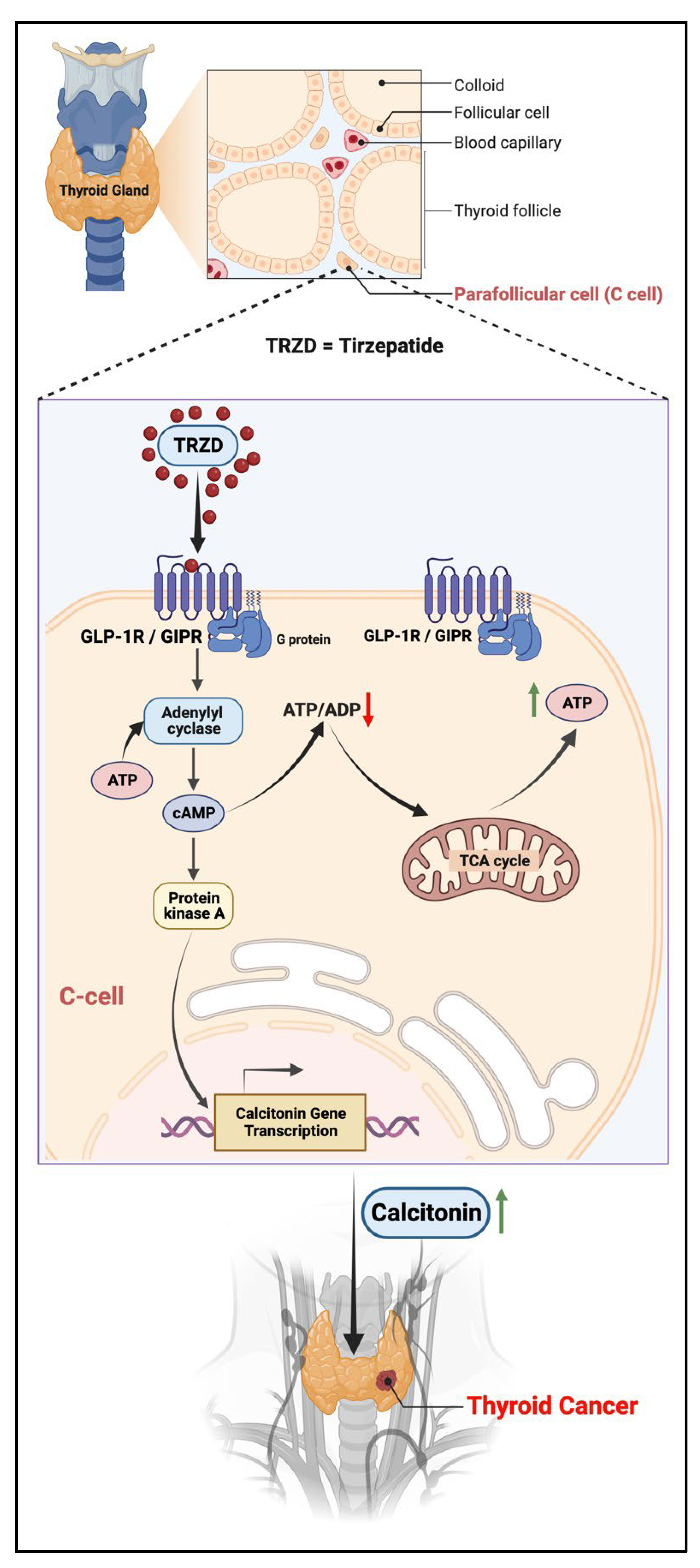 Biomolecules 12 01580 g003