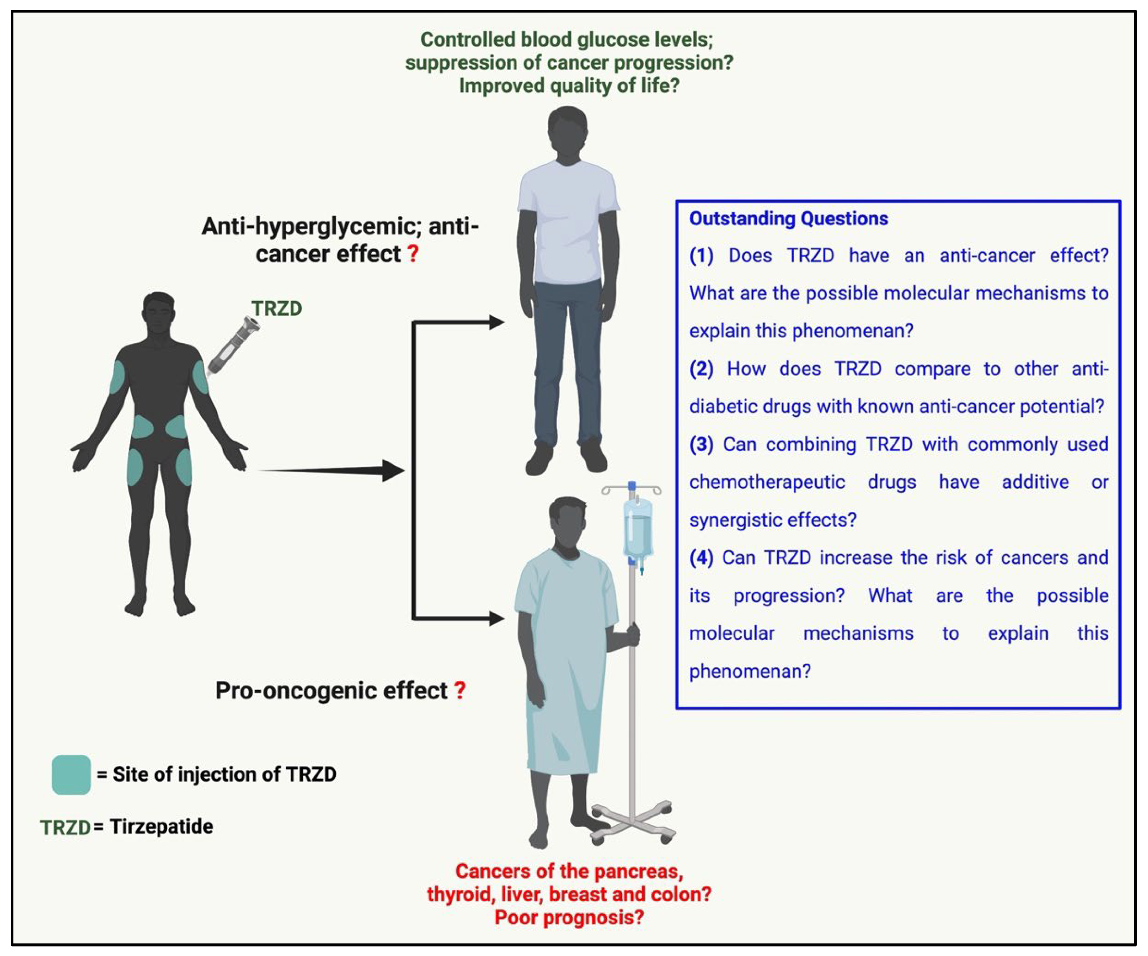 Biomolecules 12 01580 g004