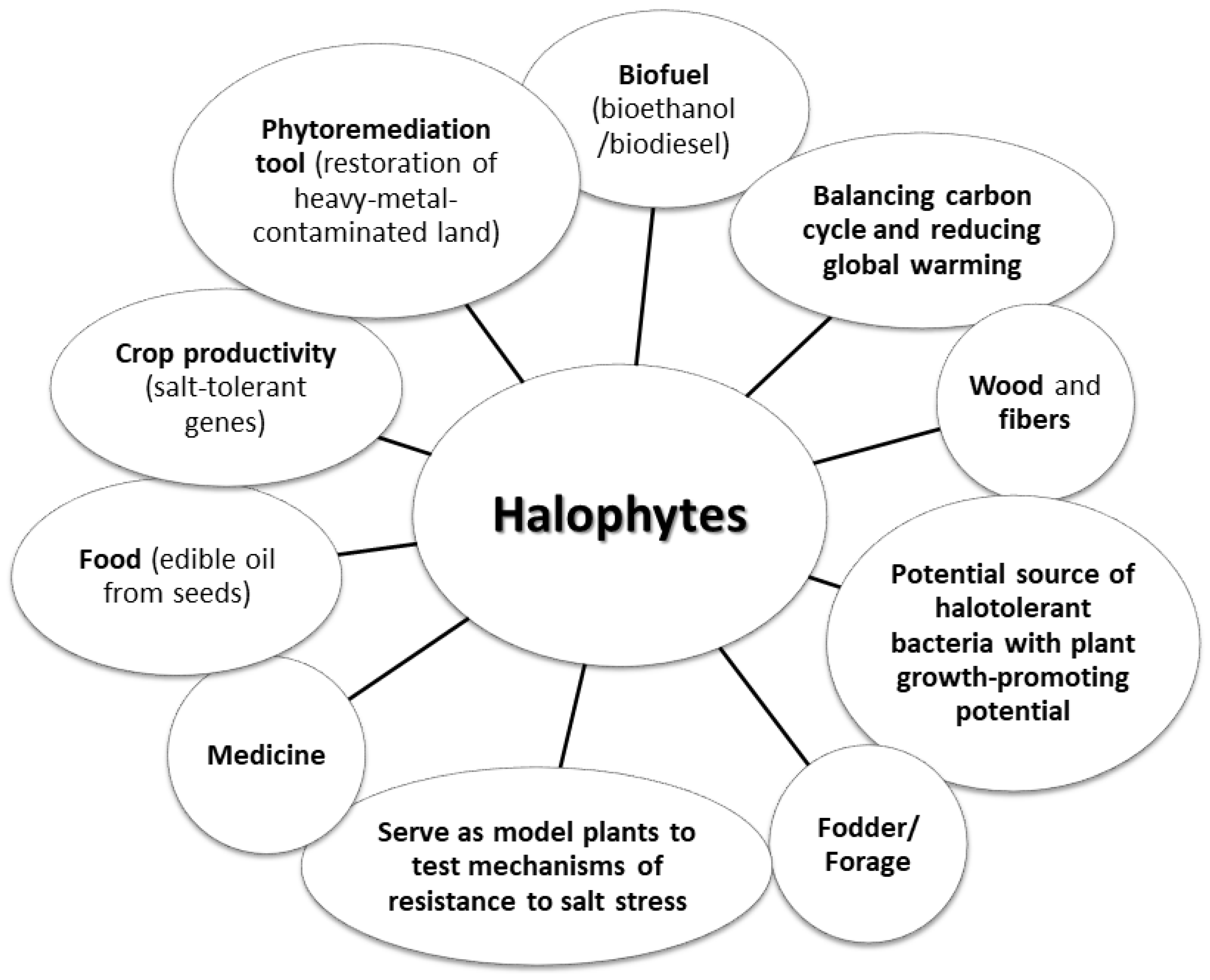 Biomolecules 12 01583 g001 Biomolecules 12 01583 g001