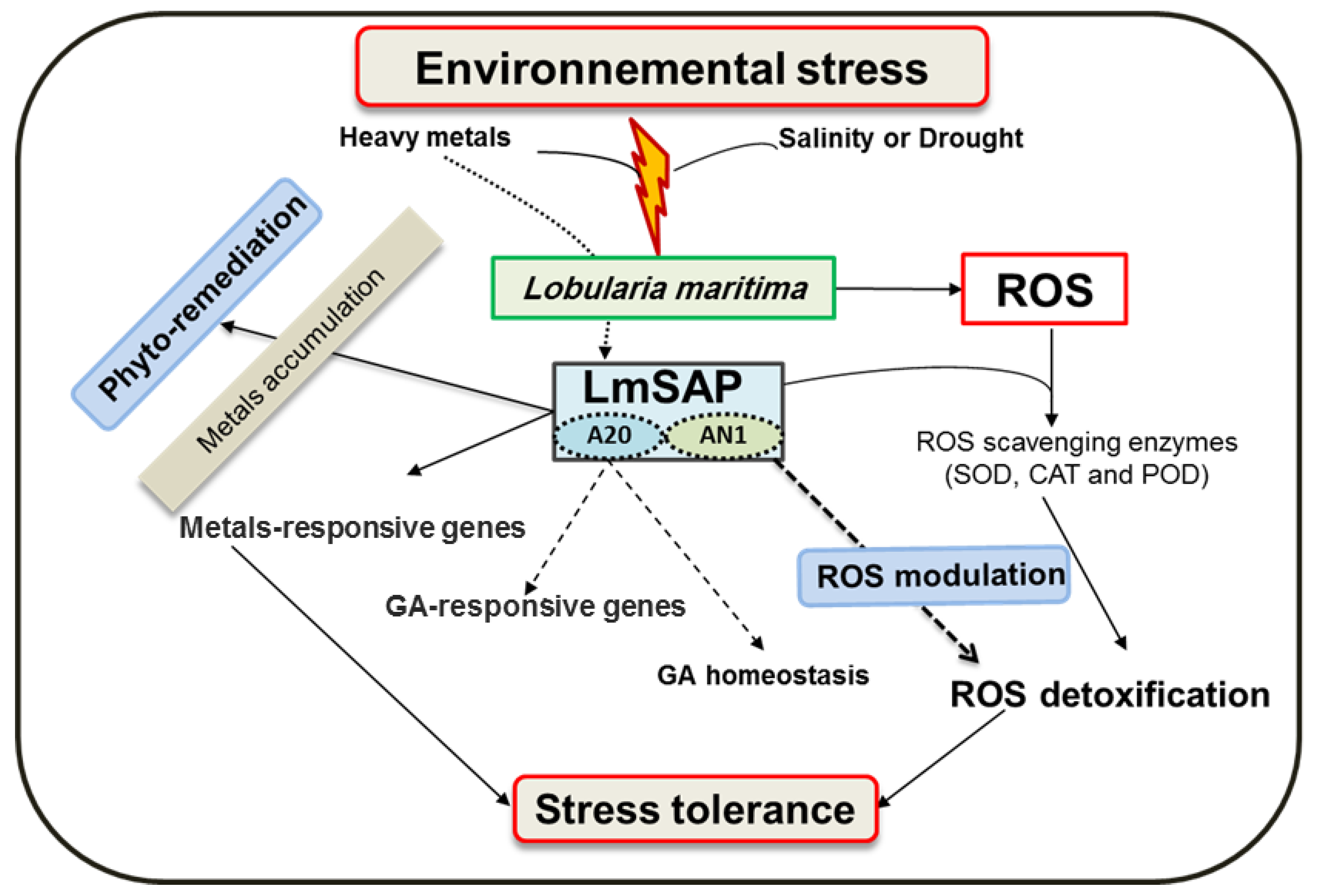 Biomolecules 12 01583 g003 Biomolecules 12 01583 g003