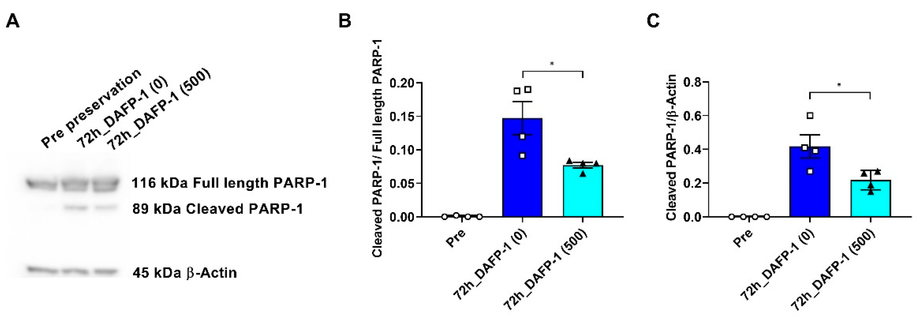 Biomolecules 12 01584 g003