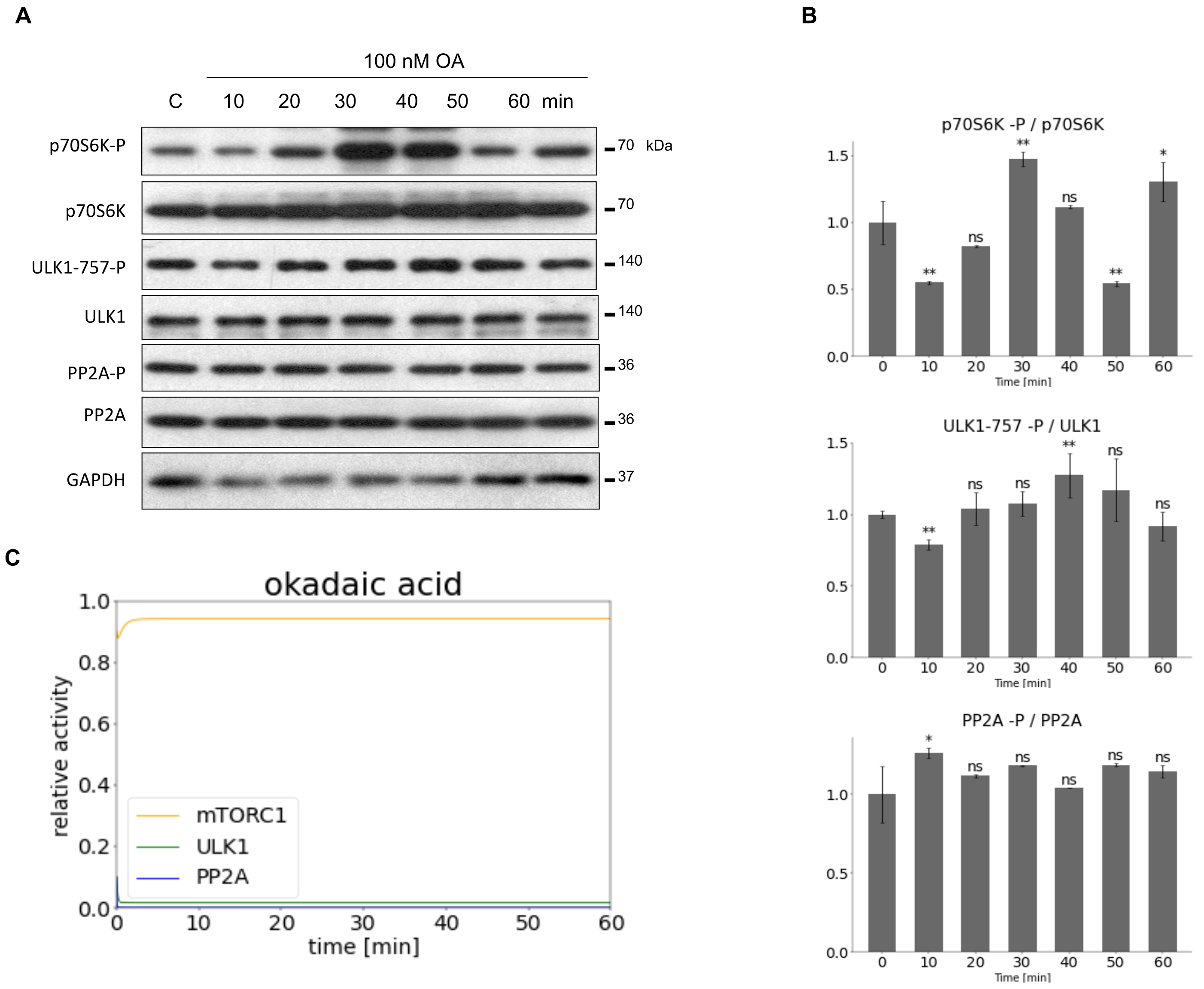 Biomolecules 12 01587 g003