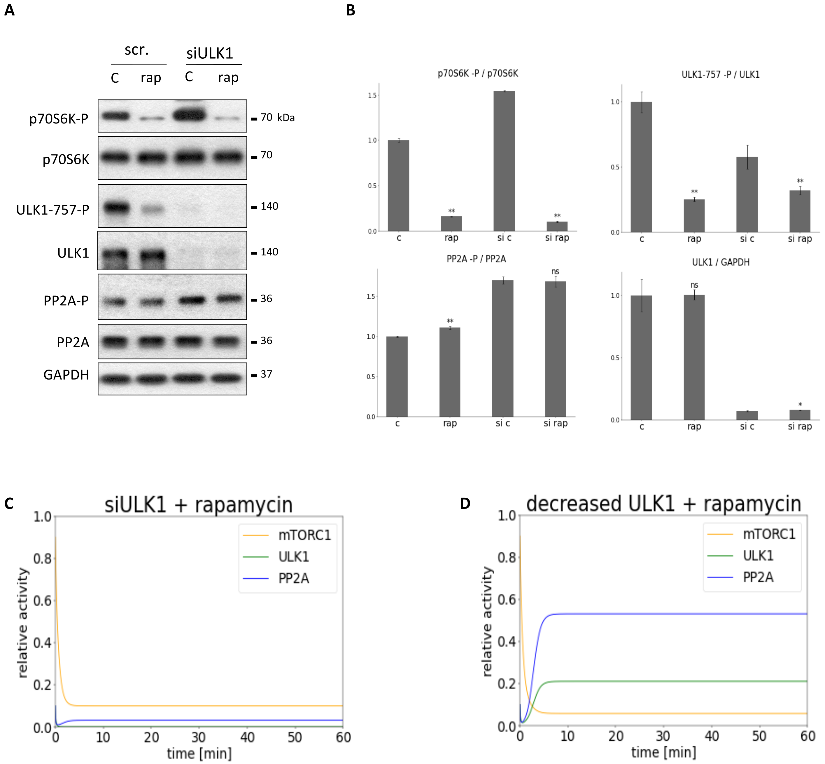 Biomolecules 12 01587 g005