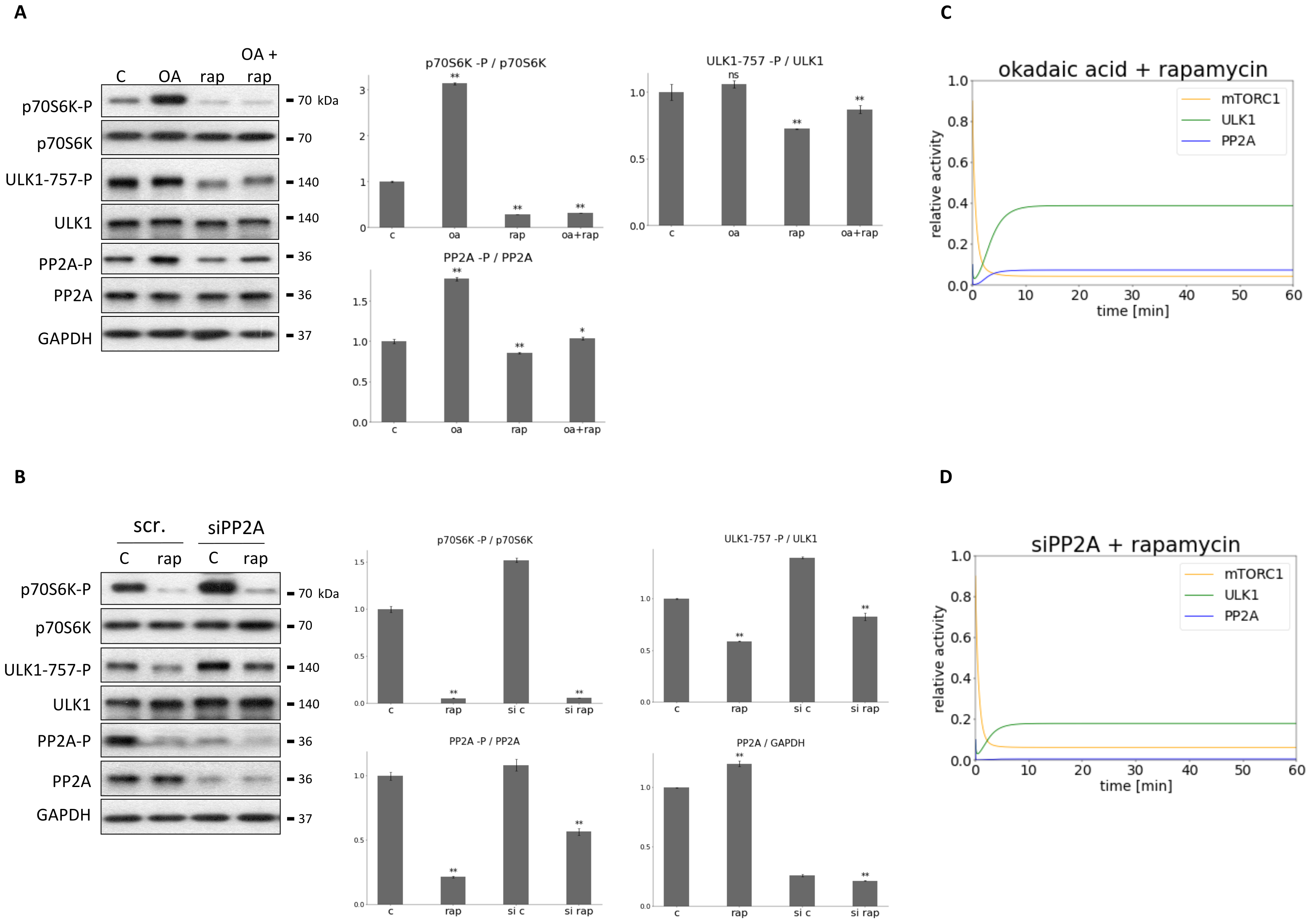 Biomolecules 12 01587 g006