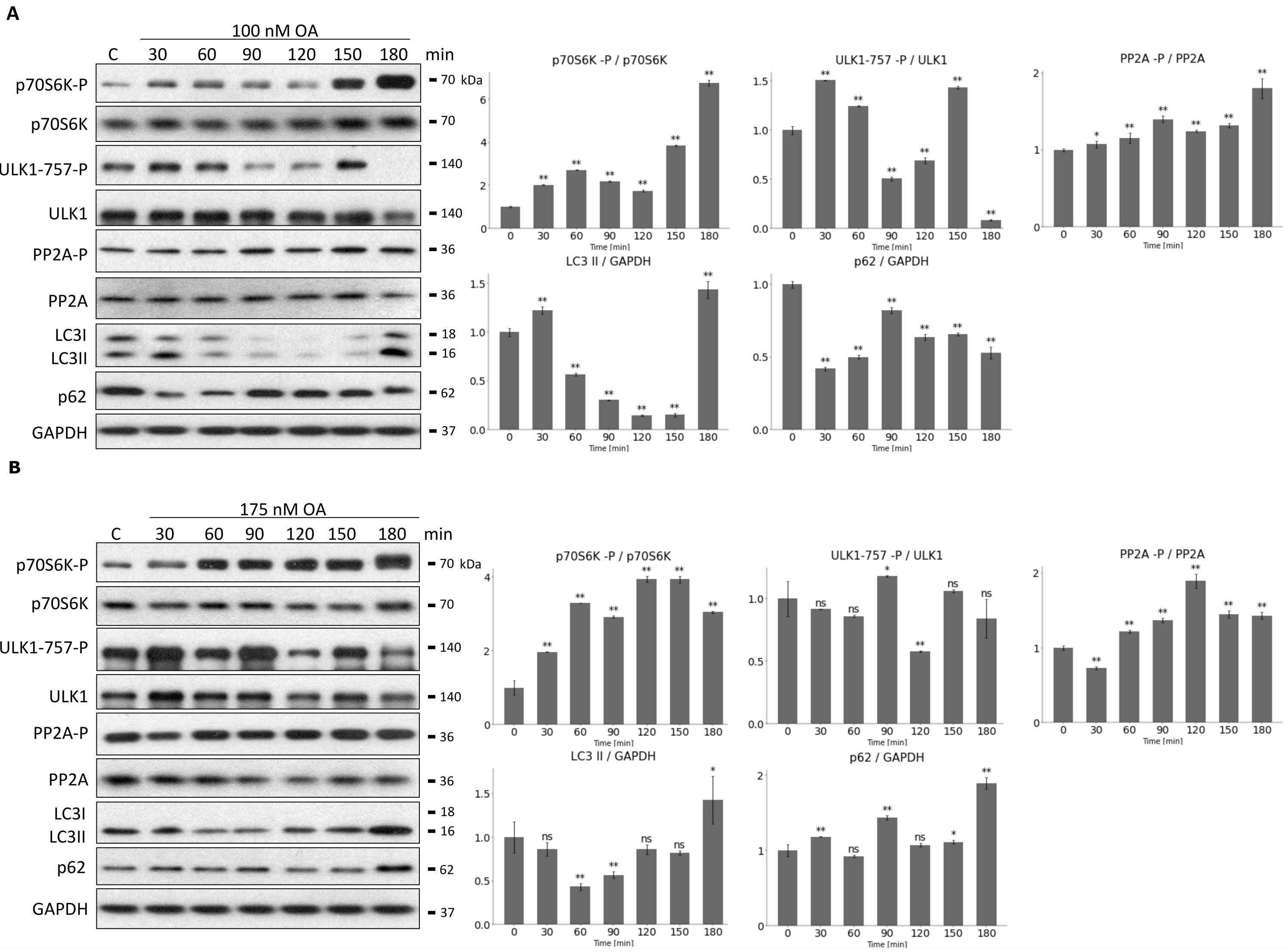 Biomolecules 12 01587 g007