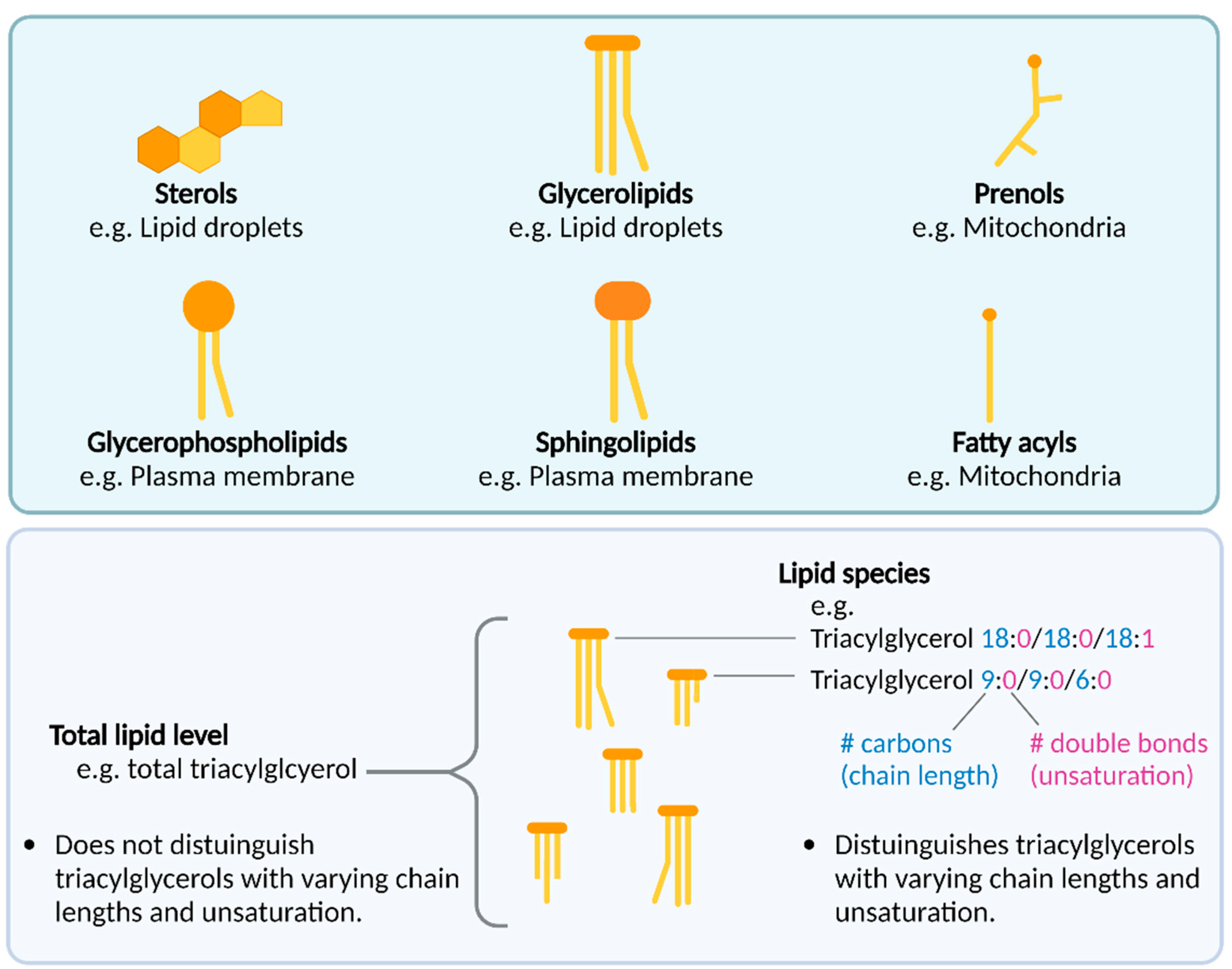 Biomolecules 12 01597 g001