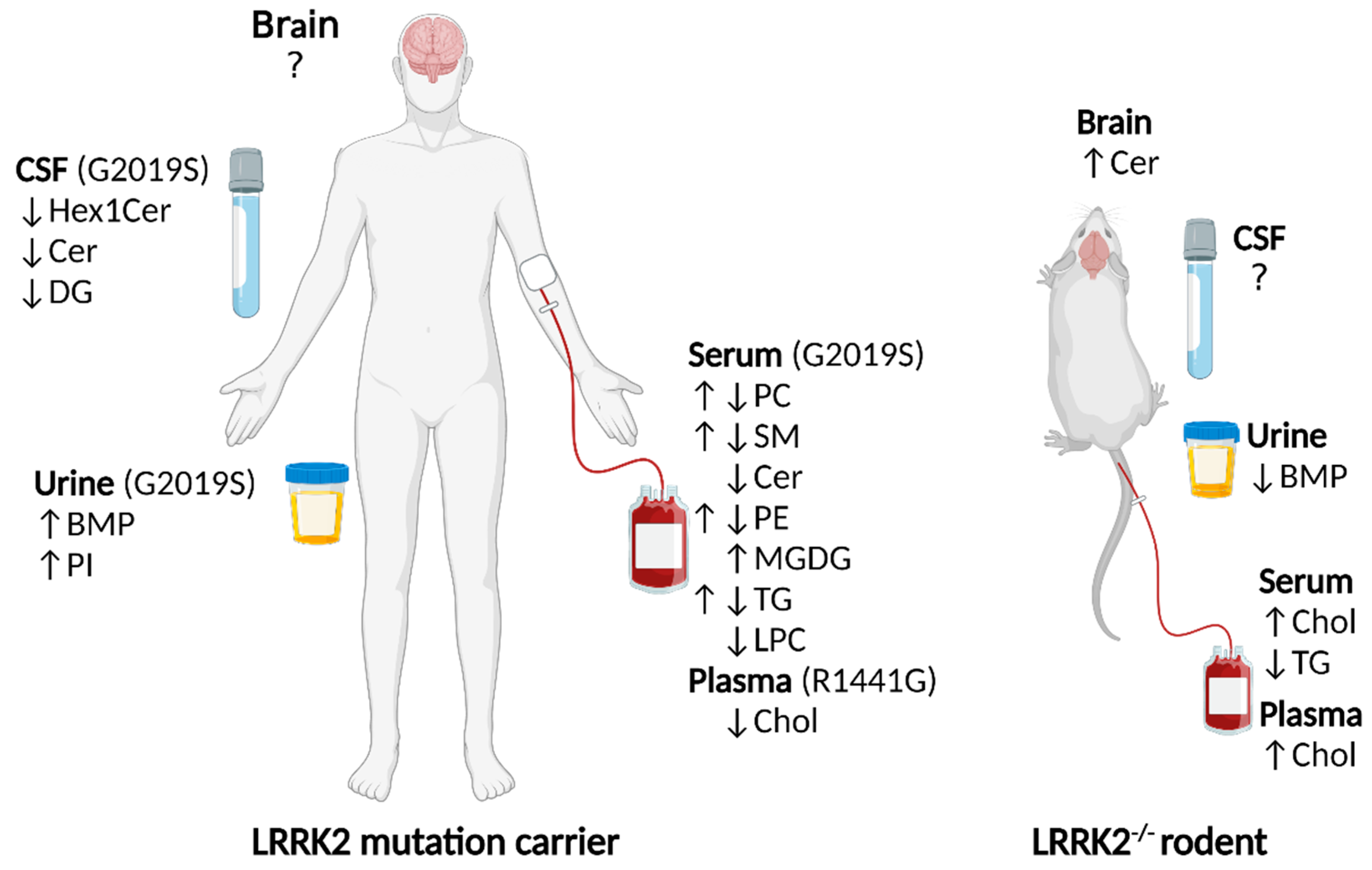 Biomolecules 12 01597 g002