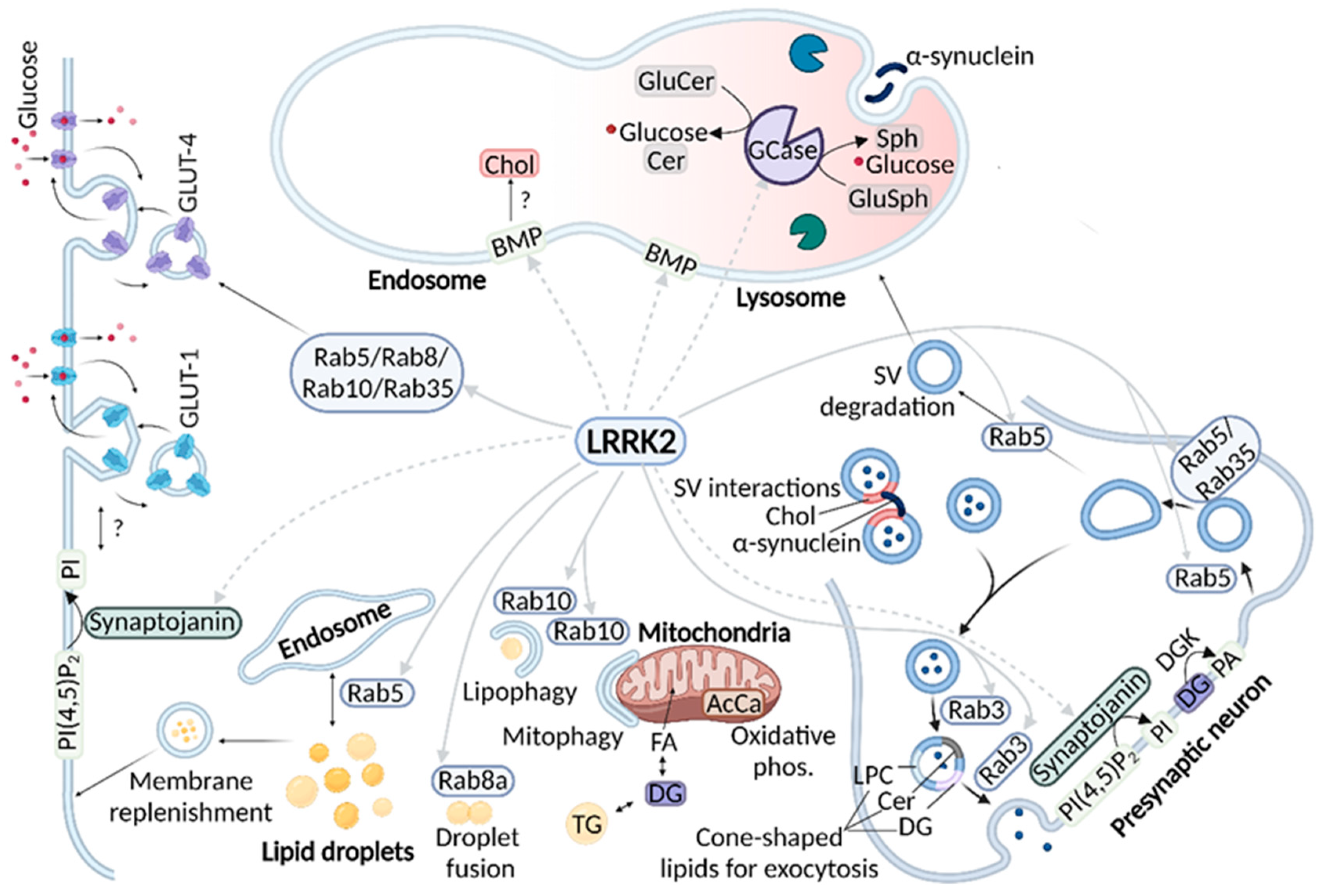 Biomolecules 12 01597 g003