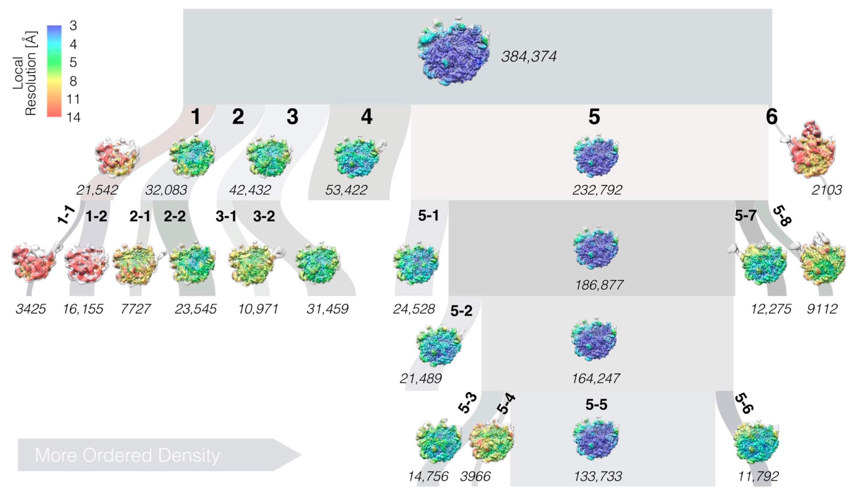 Biomolecules 12 01605 g001