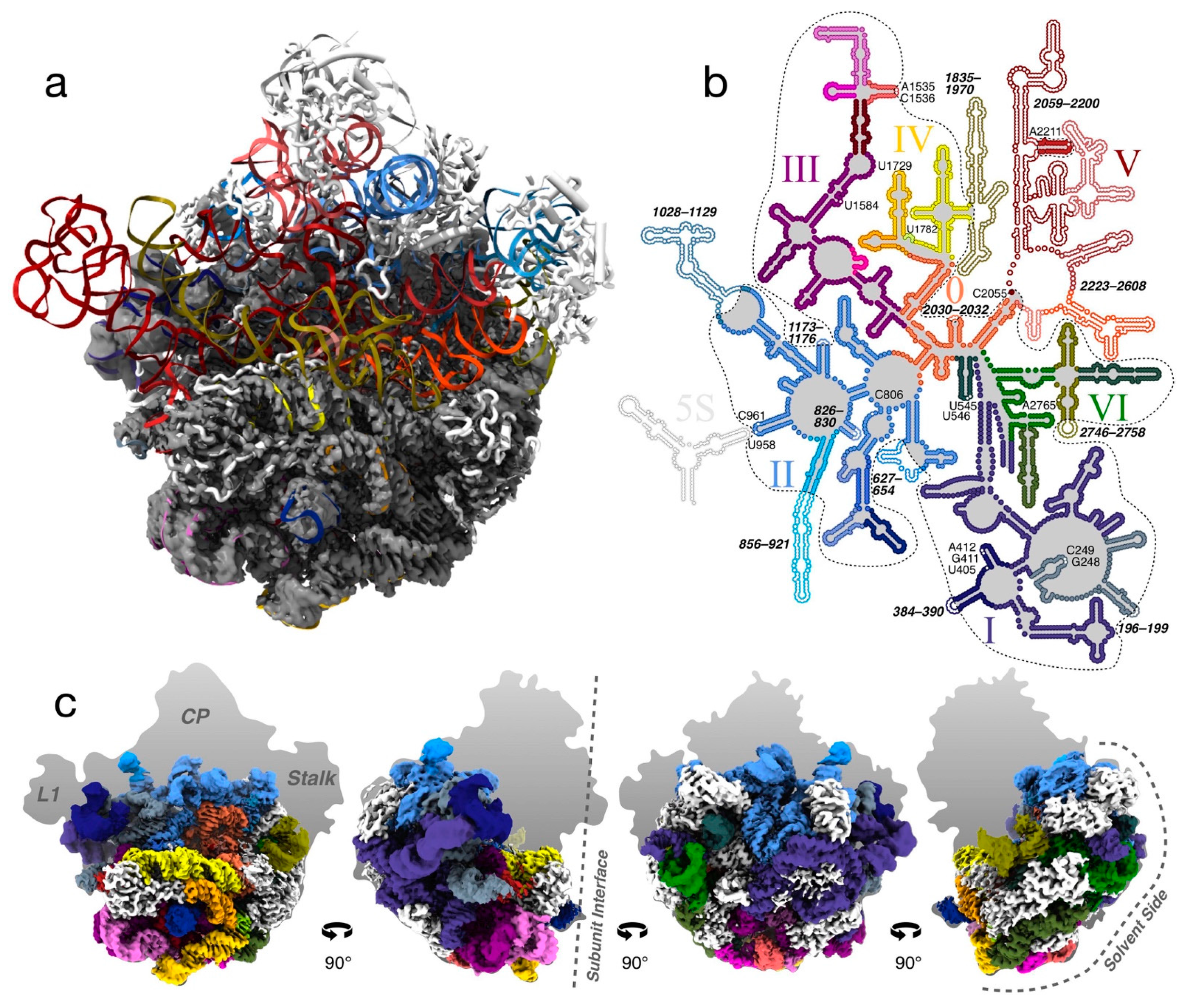 Biomolecules 12 01605 g002