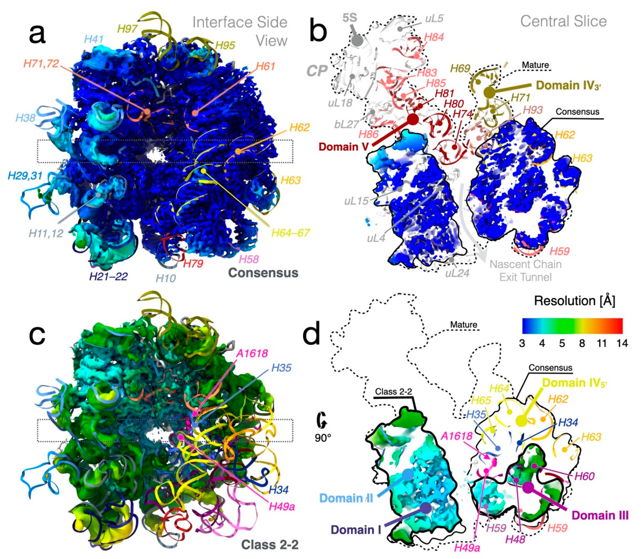 Biomolecules 12 01605 g003