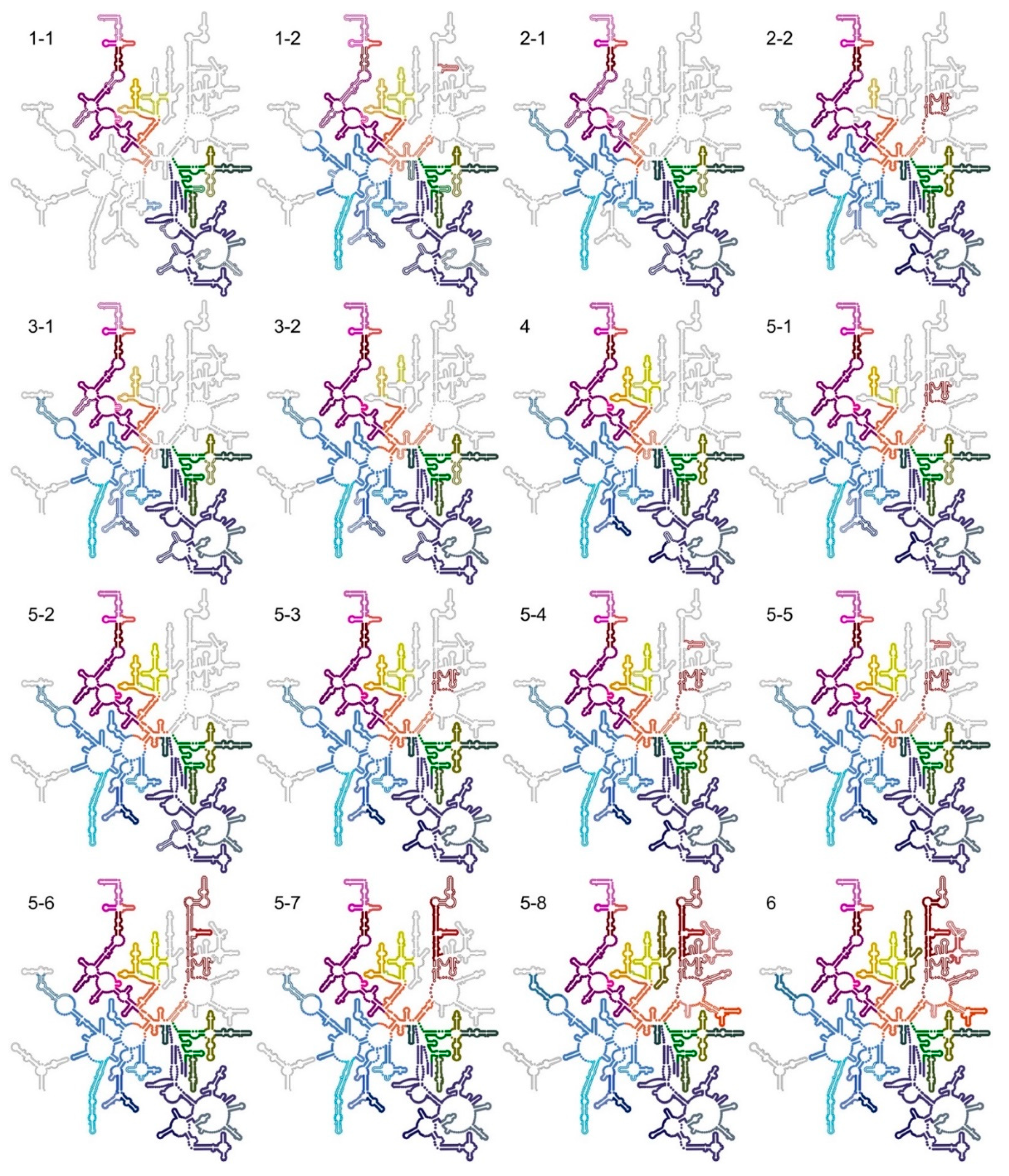 Biomolecules 12 01605 g004