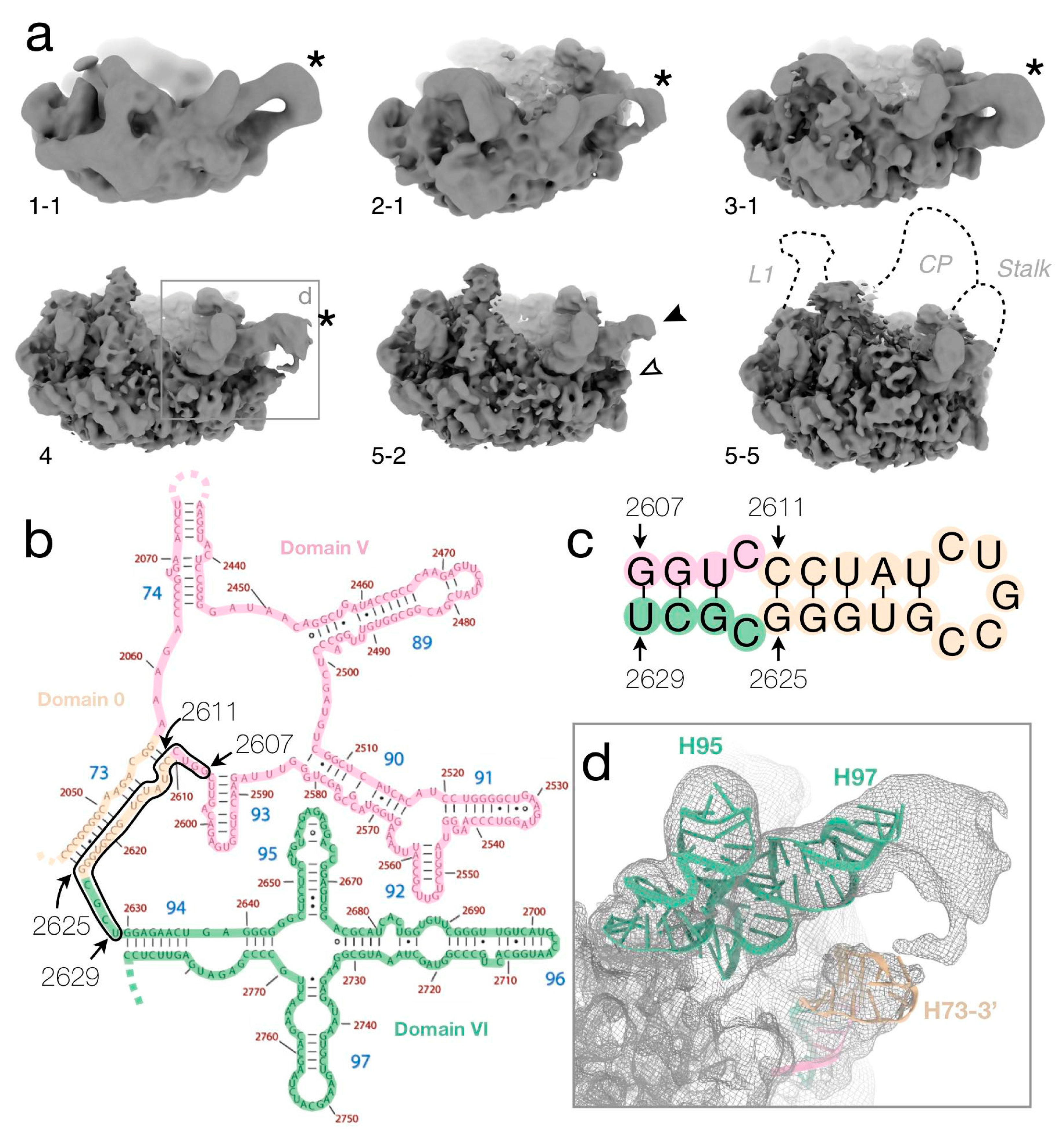 Biomolecules 12 01605 g005