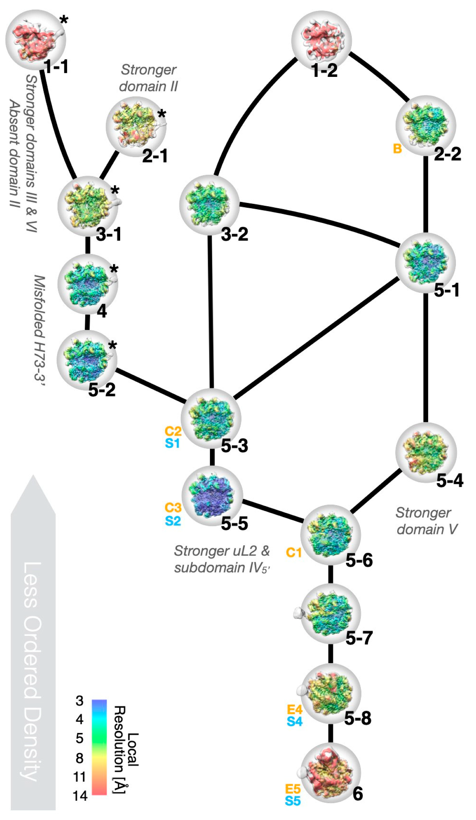 Biomolecules 12 01605 g006