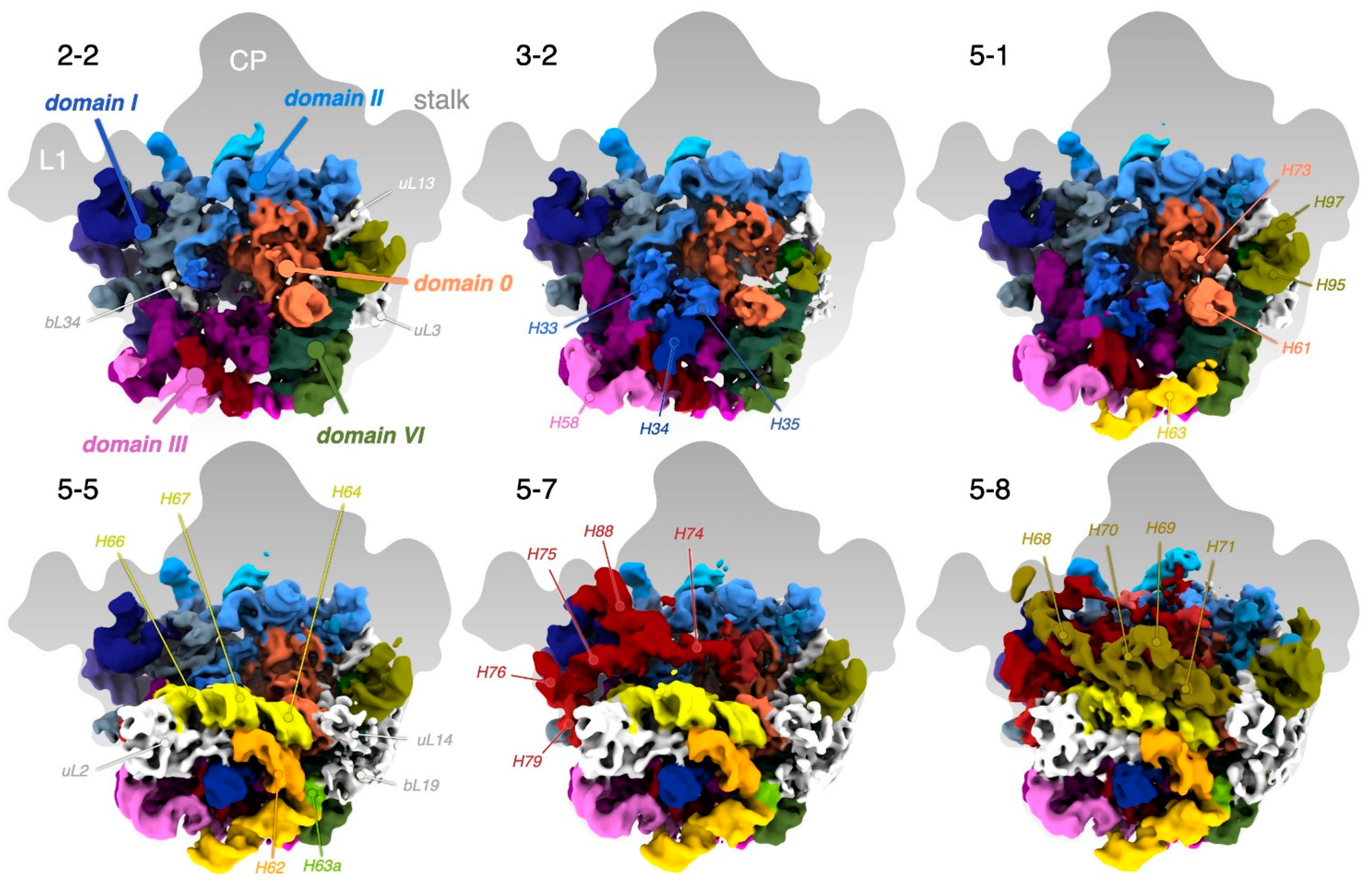 Biomolecules 12 01605 g007