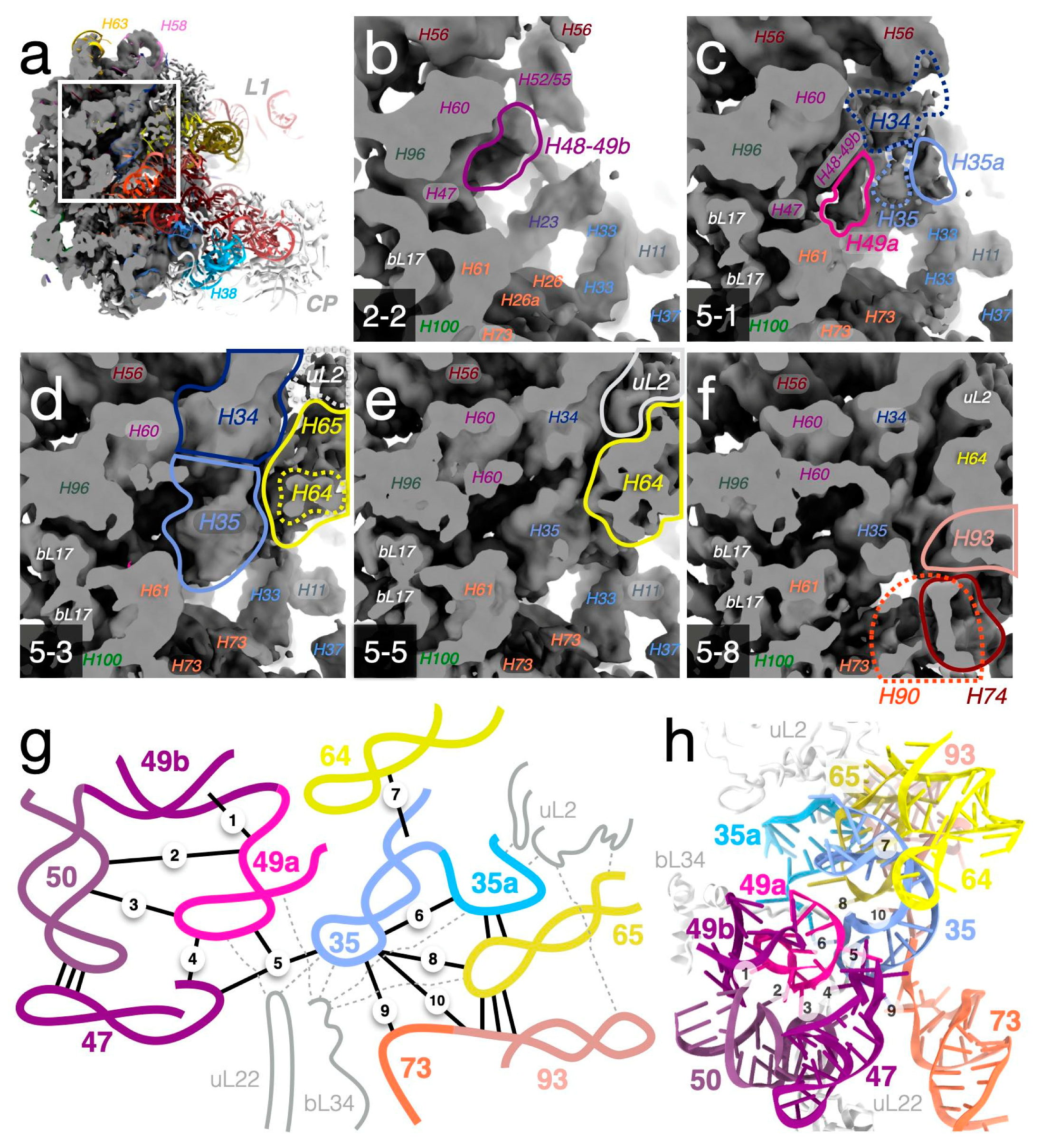 Biomolecules 12 01605 g008