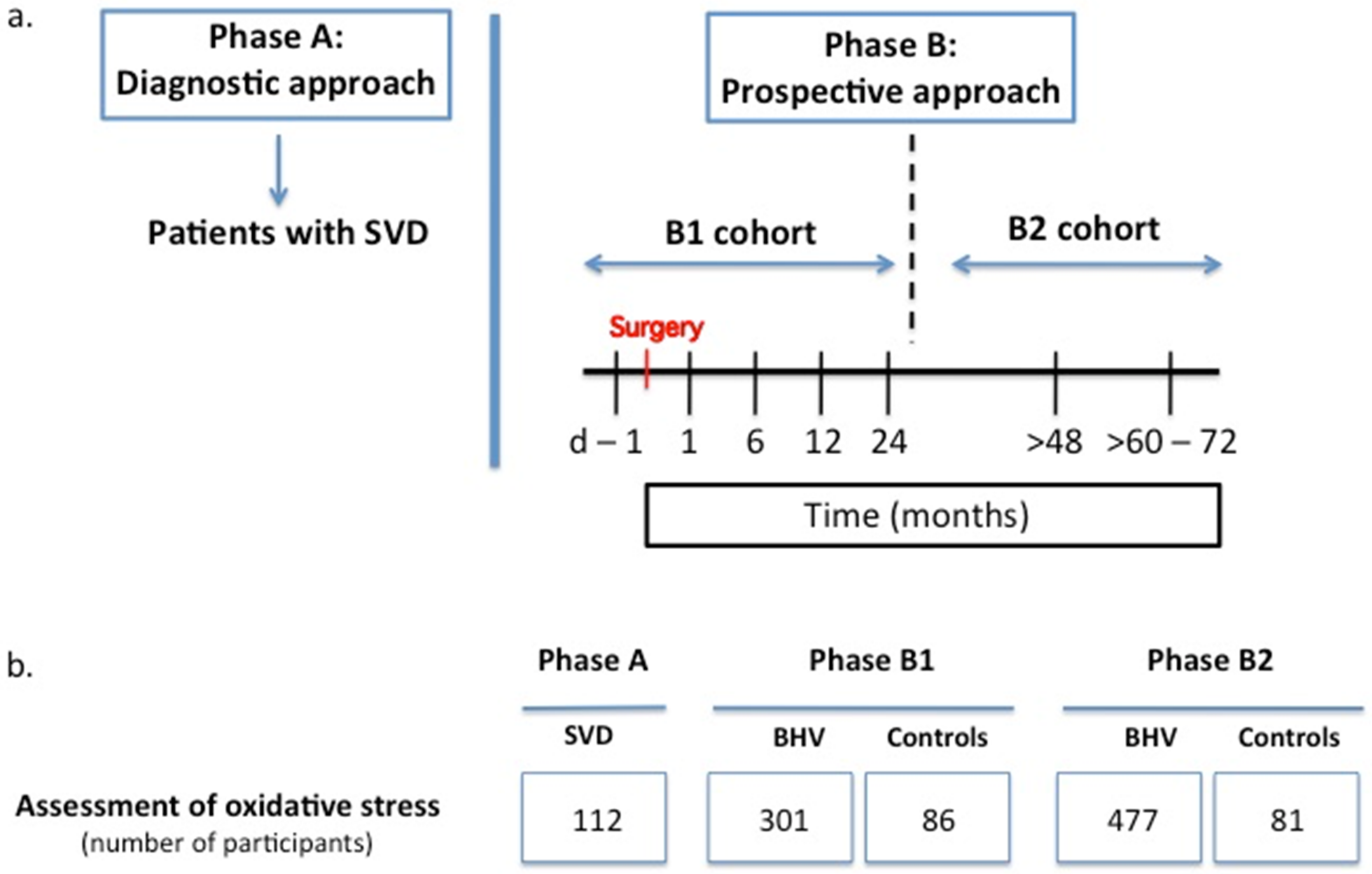 Biomolecules 12 01606 g001