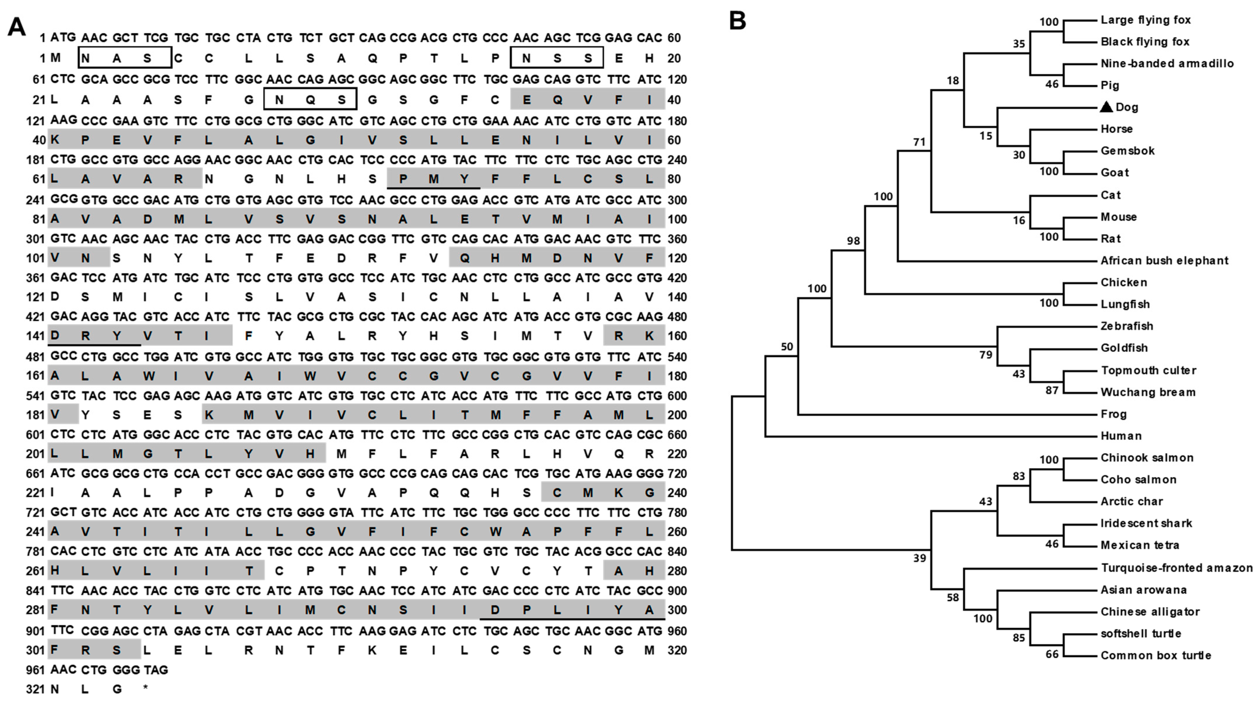 Biomolecules 12 01608 g001