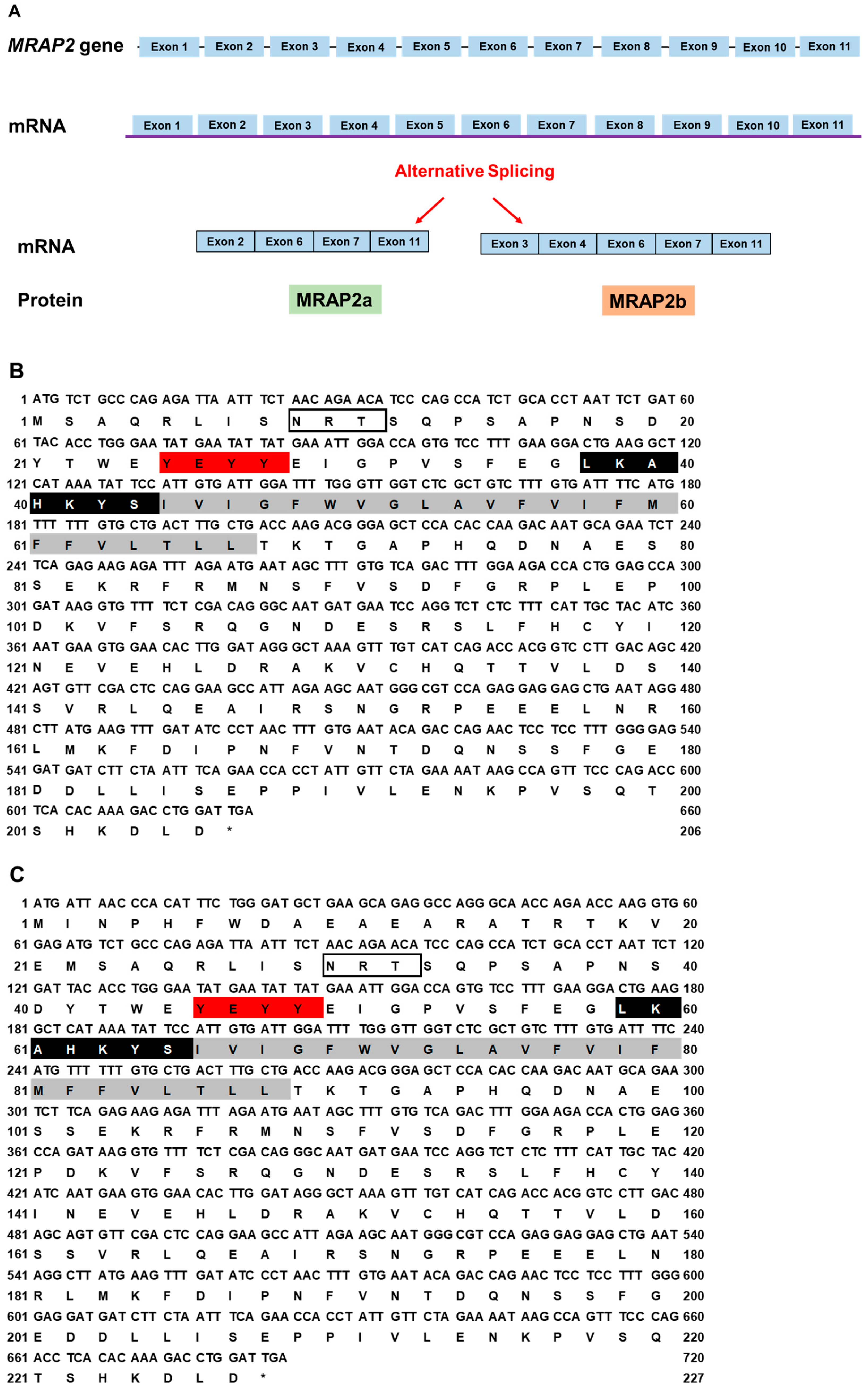 Biomolecules 12 01608 g003a