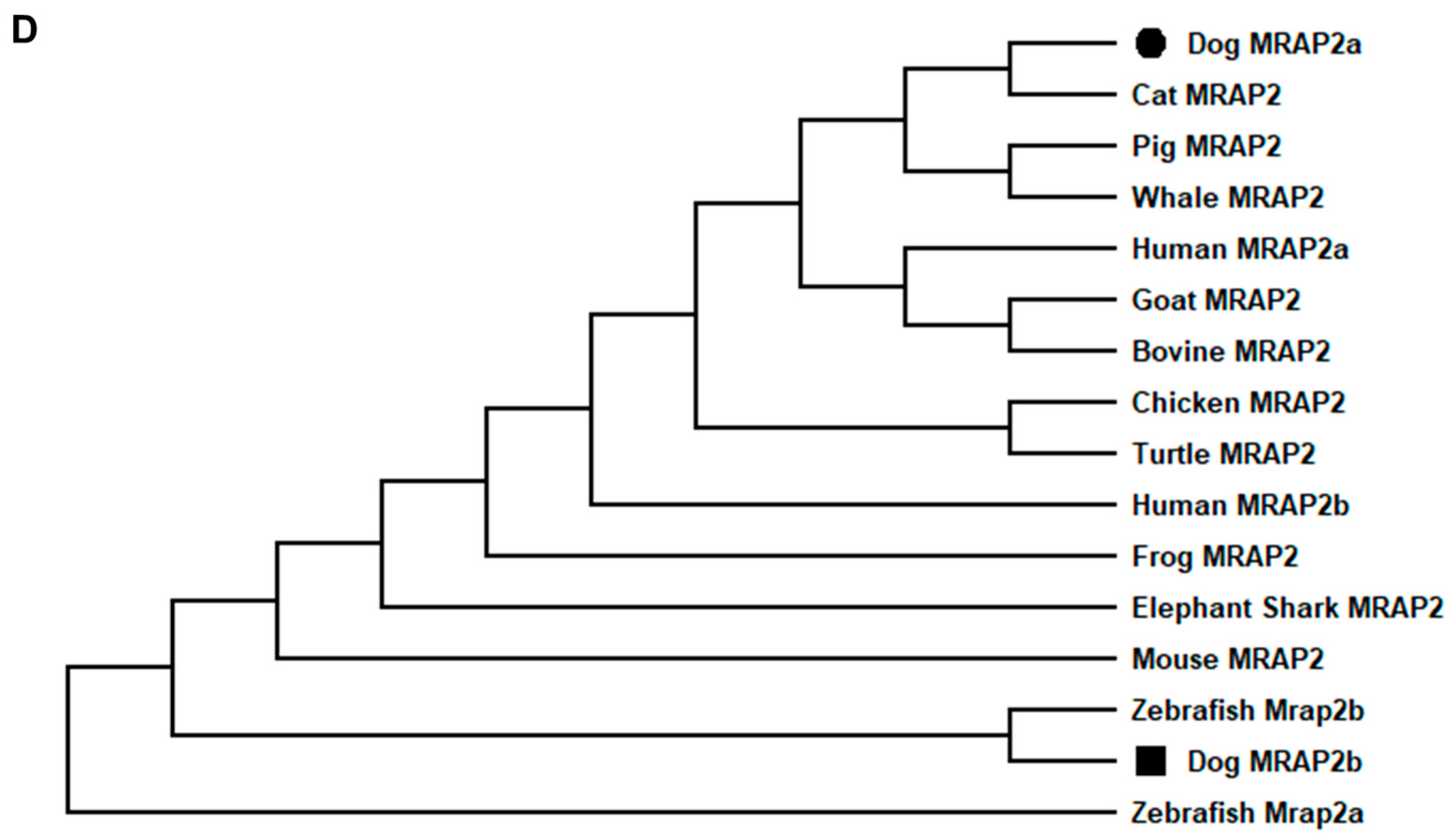 Biomolecules 12 01608 g003b