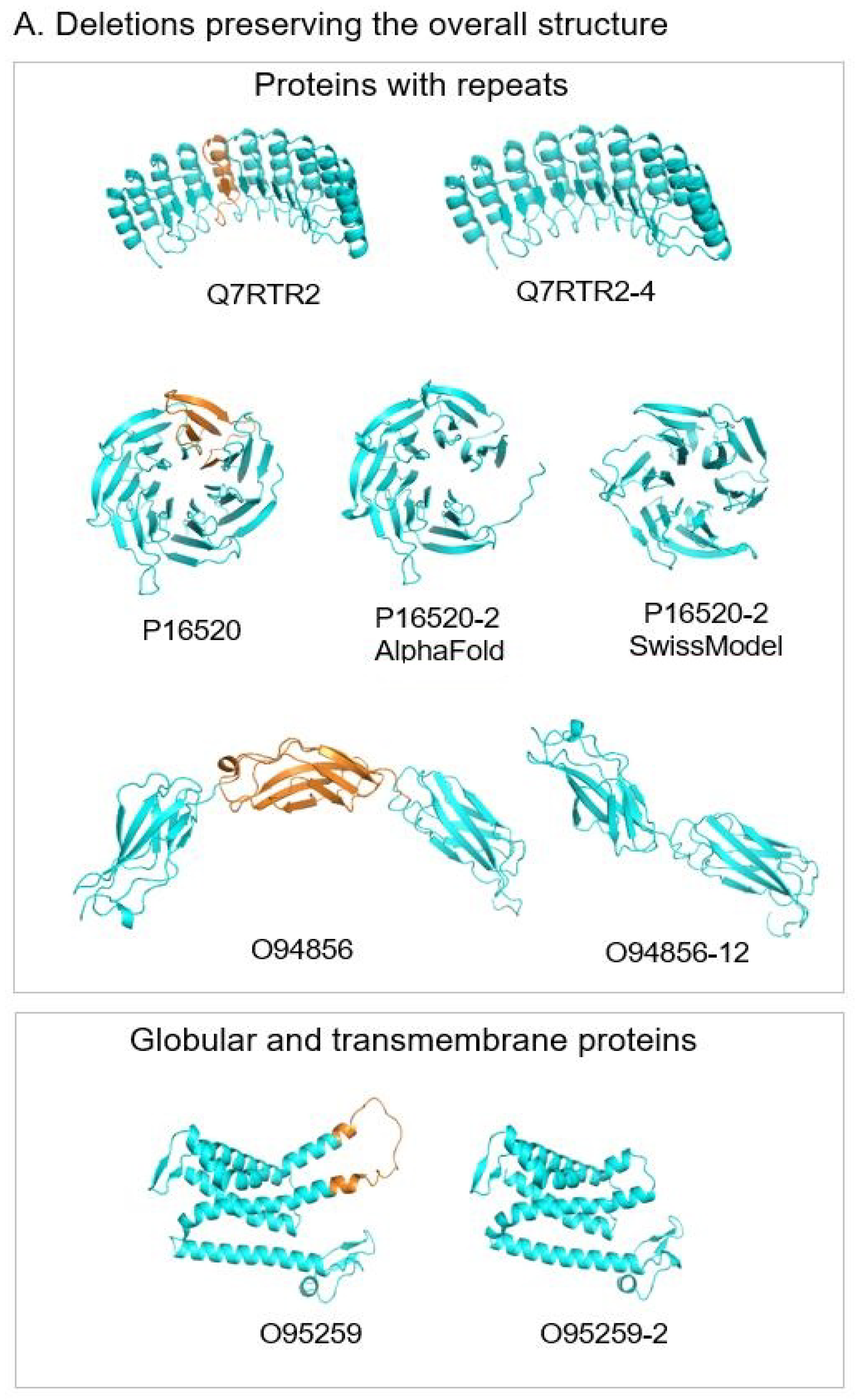Biomolecules 12 01610 g008a Biomolecules 12 01610 g008a