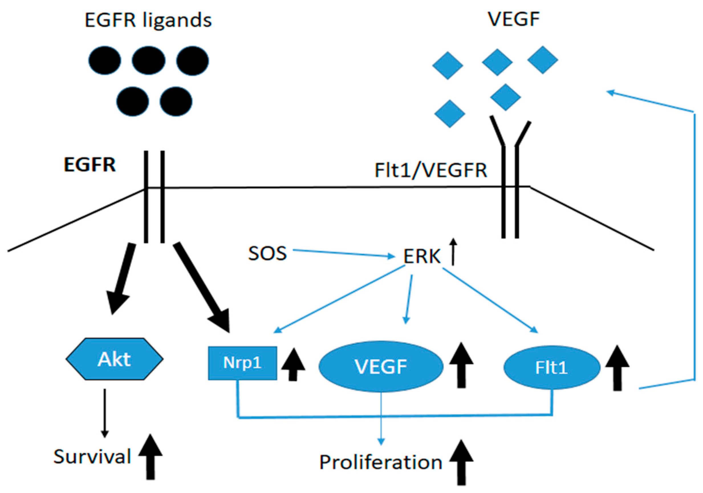 Biomolecules 12 01612 sch001