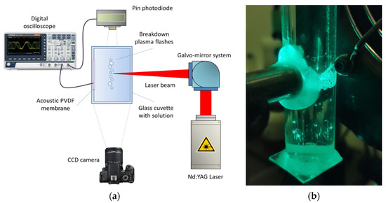 Biomolecules 12 01613 g001