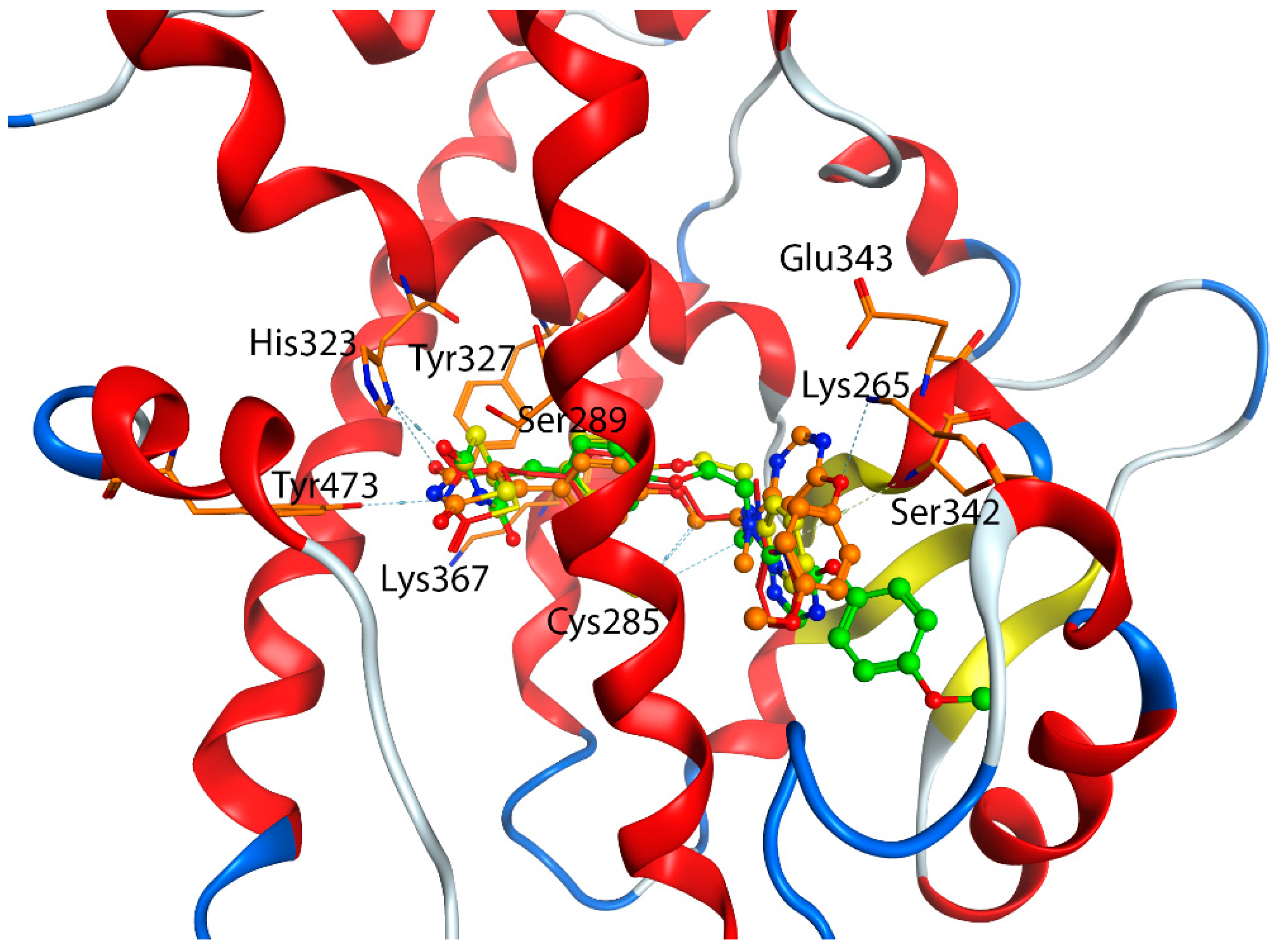 Biomolecules 12 01614 g006