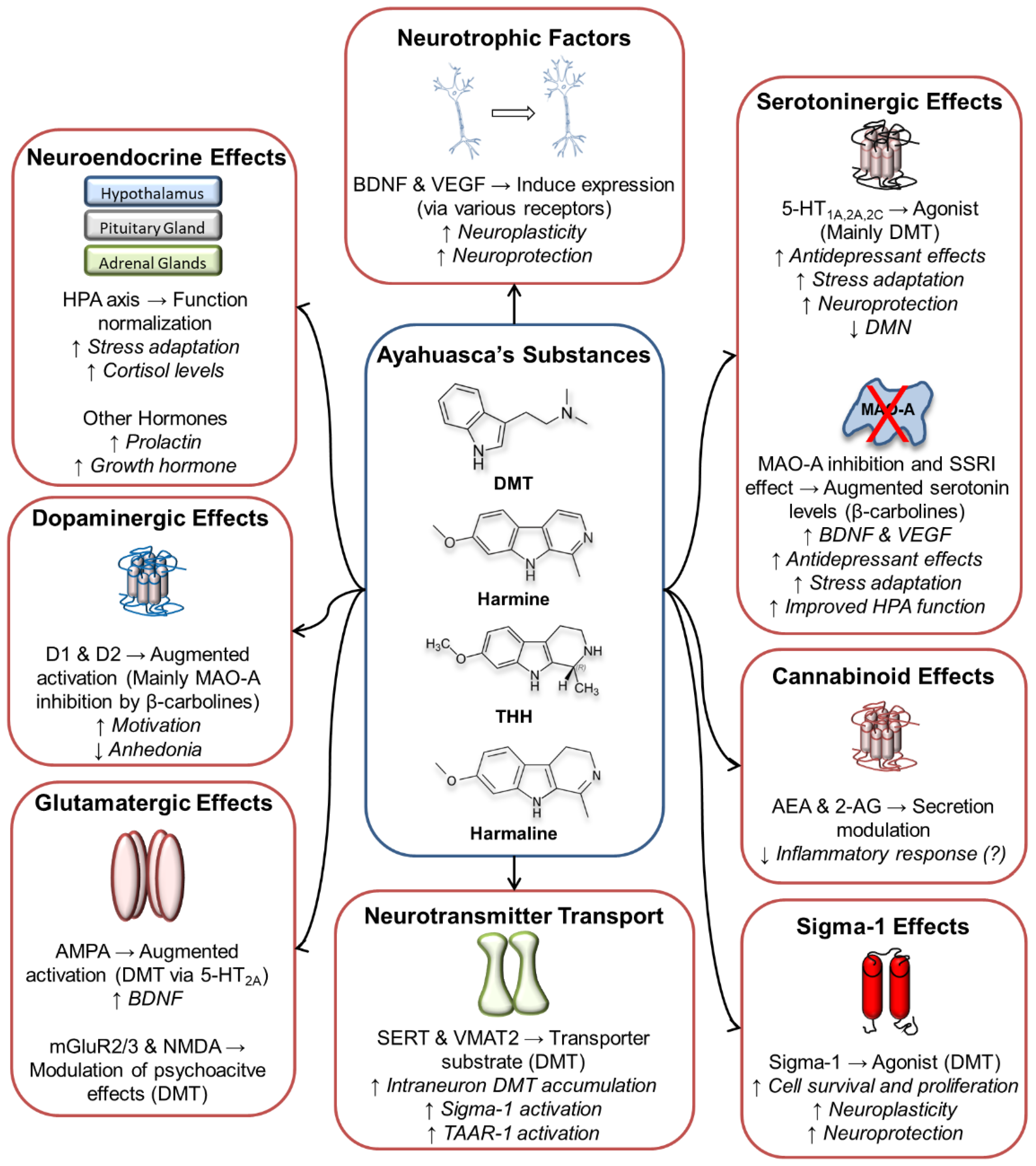 Biomolecules 12 01618 g001