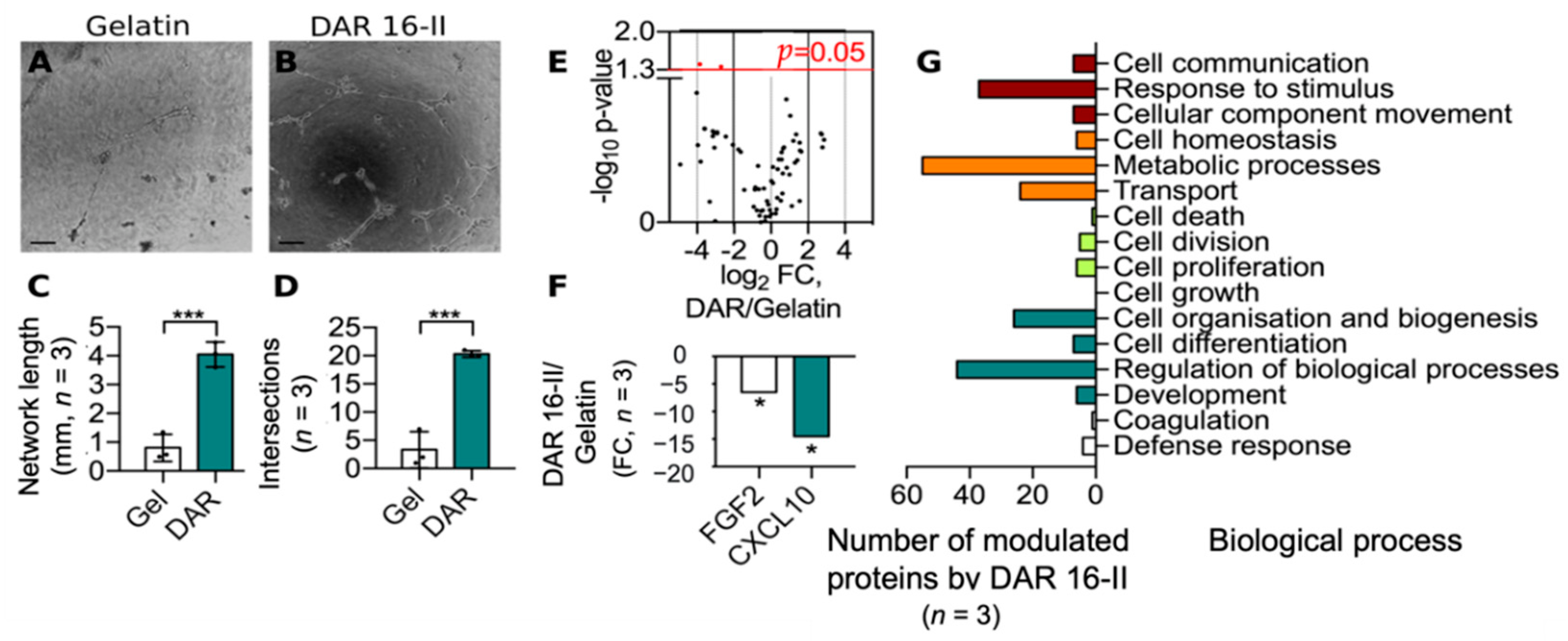 Biomolecules 12 01619 g002