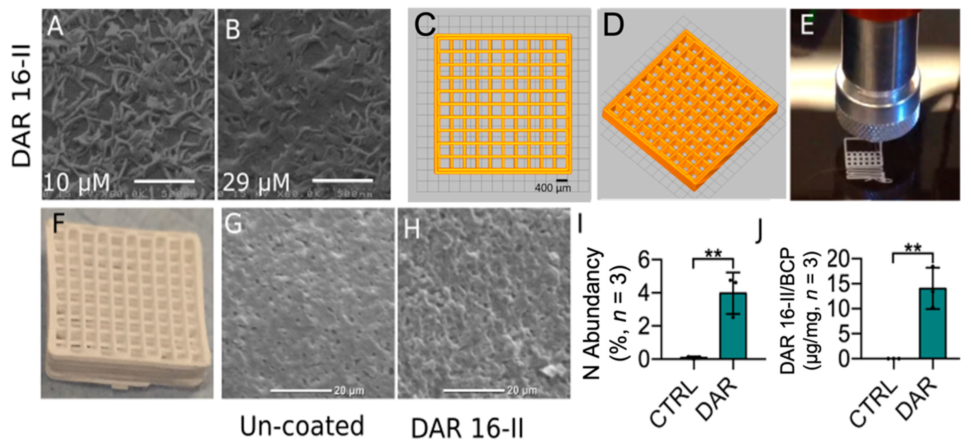 Biomolecules 12 01619 g004
