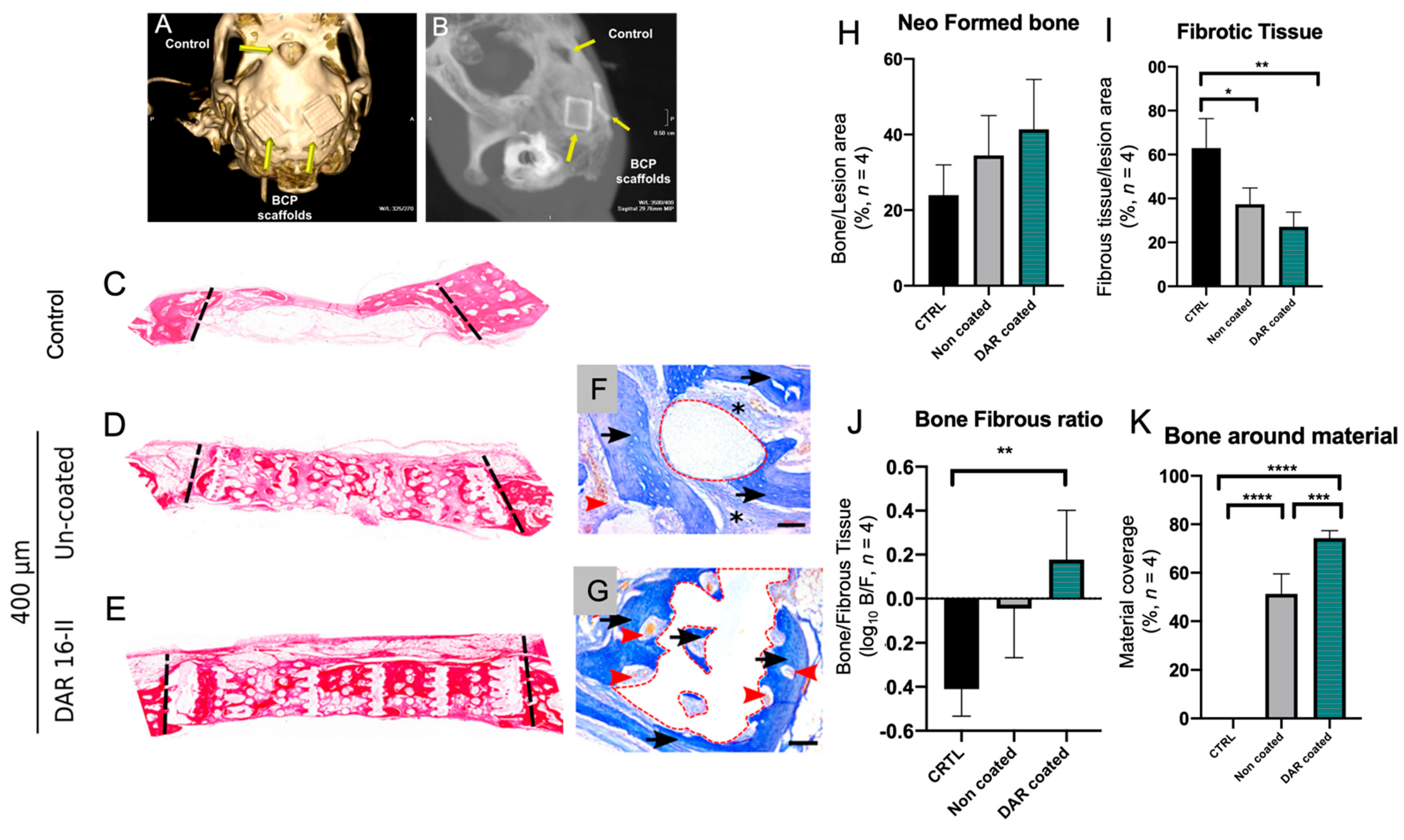Biomolecules 12 01619 g005