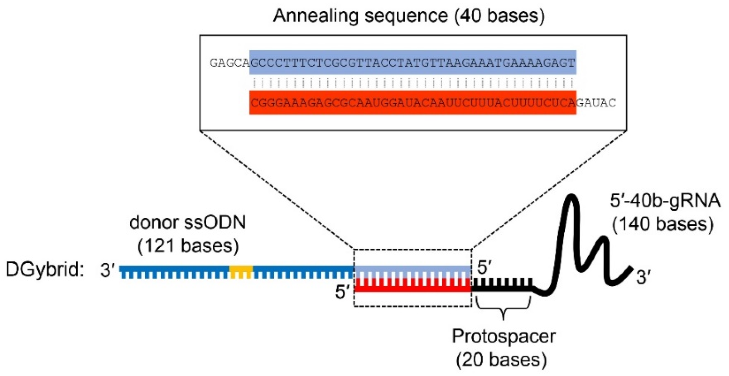 Biomolecules 12 01621 g001