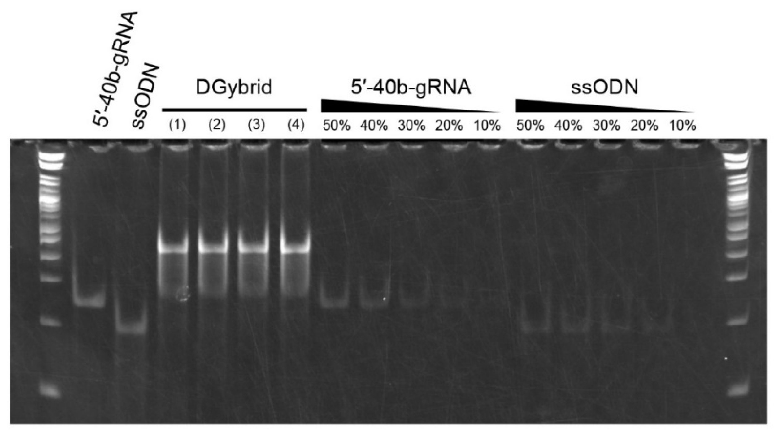 Biomolecules 12 01621 g002