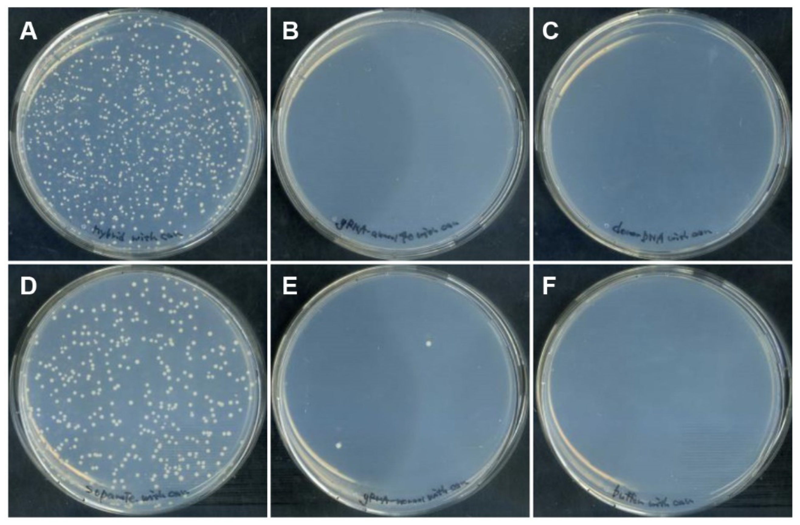 Biomolecules 12 01621 g003