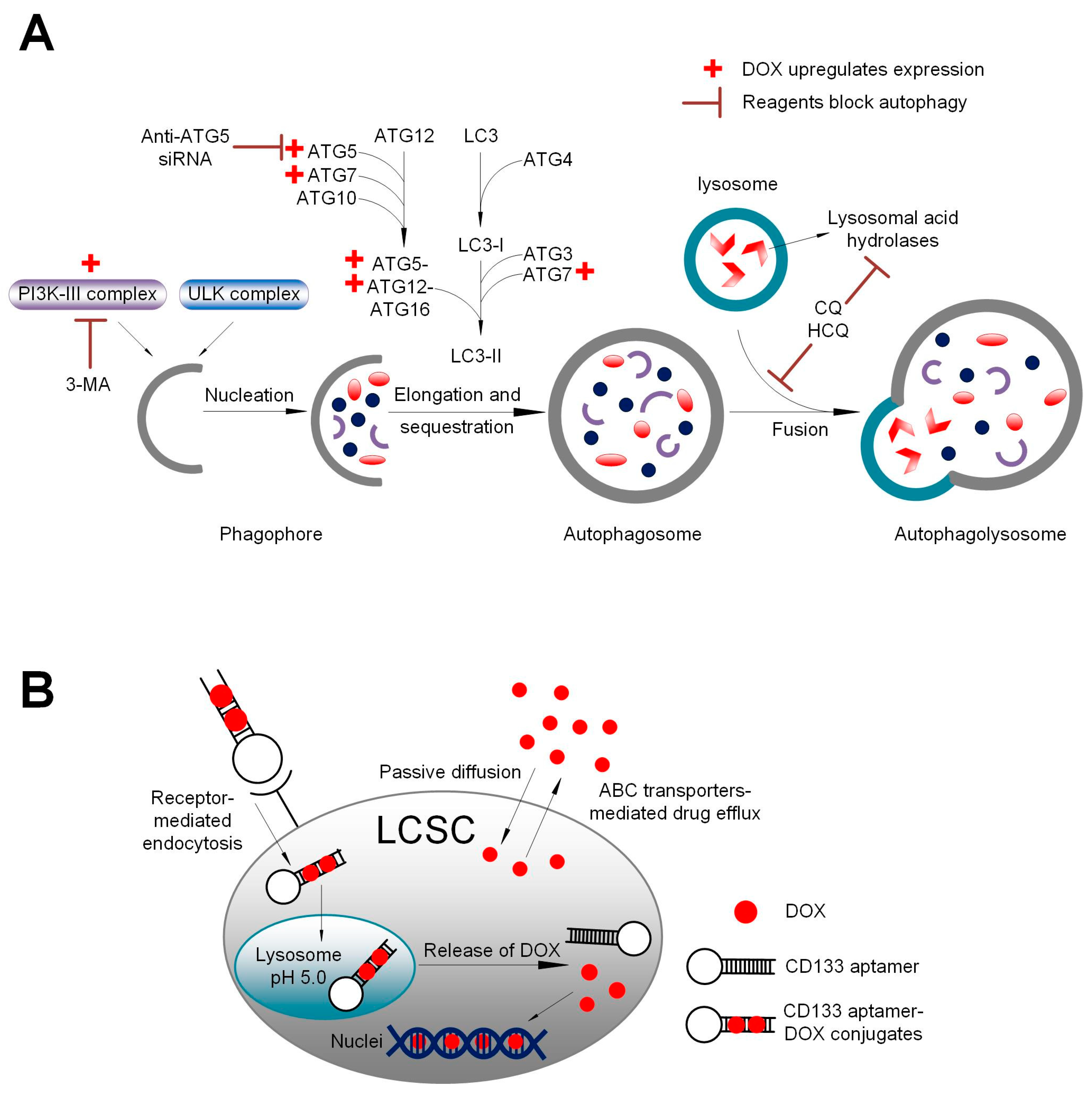 Biomolecules 12 01623 g006