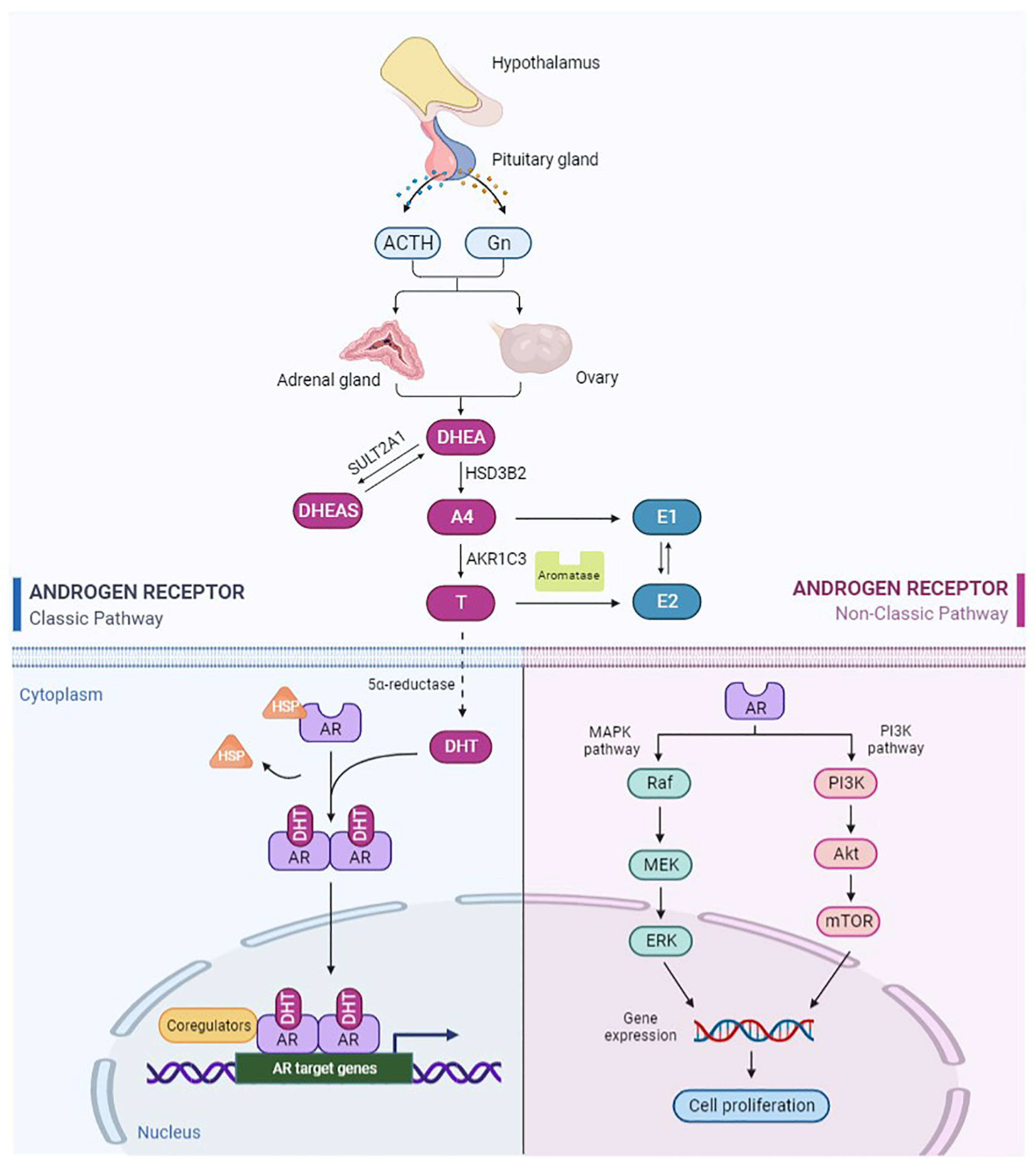 Biomolecules 12 01624 g001