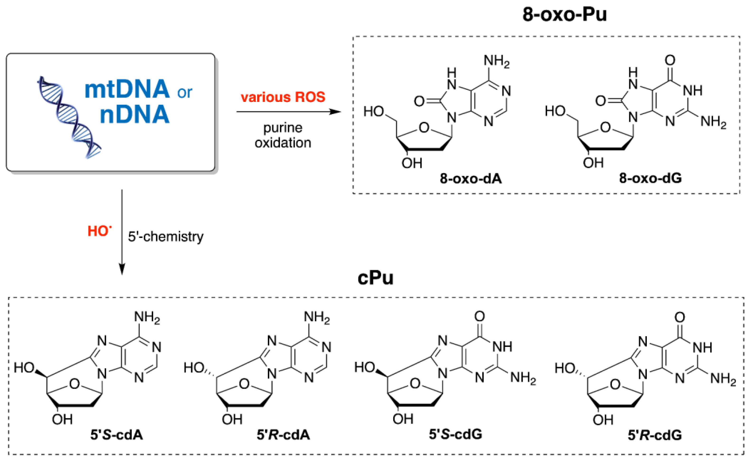 Biomolecules 12 01630 g002