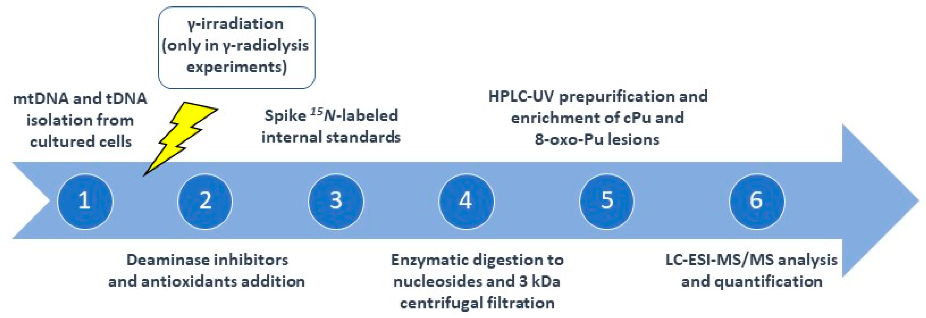 Biomolecules 12 01630 g003