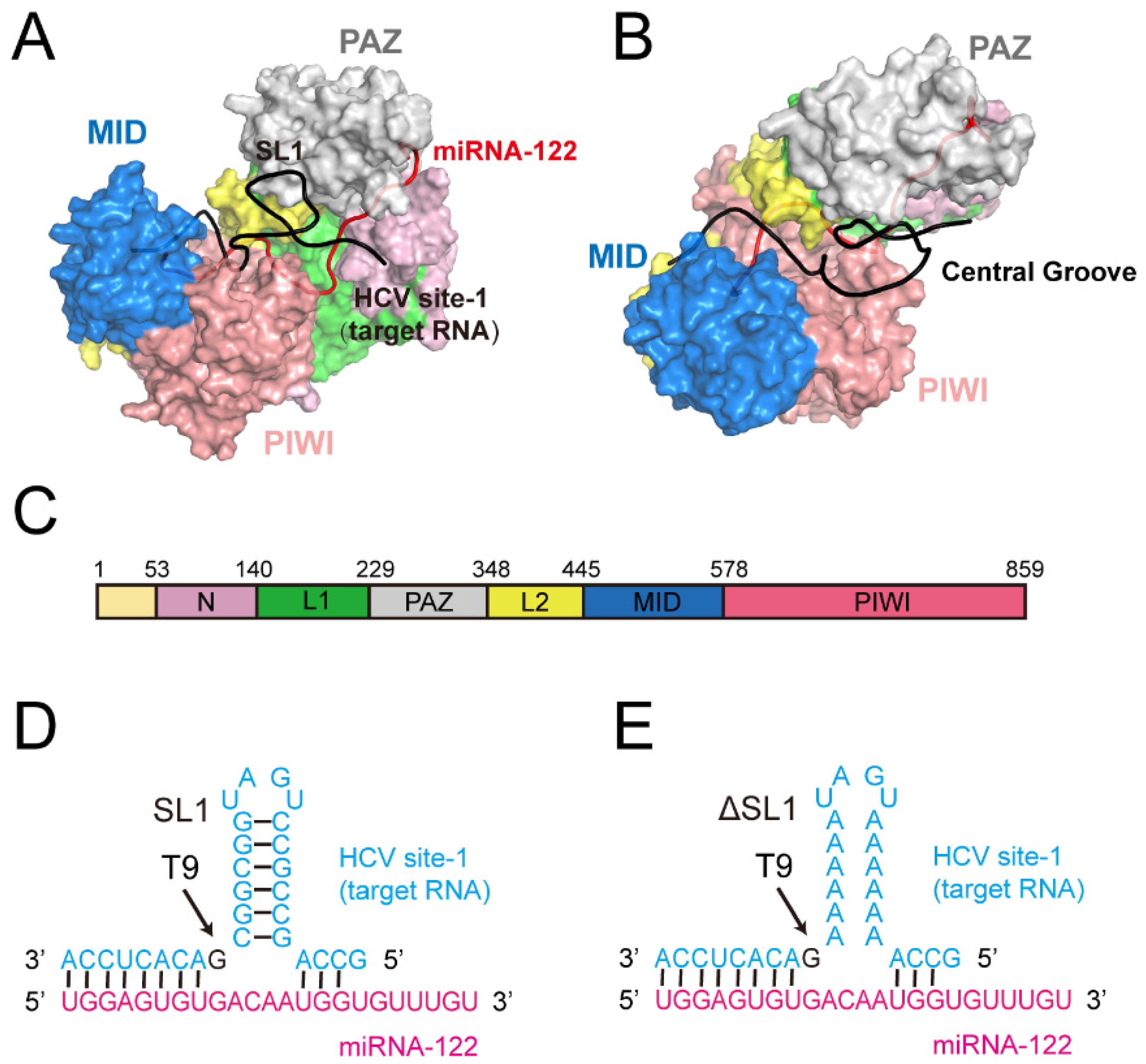 Biomolecules 12 01631 g001