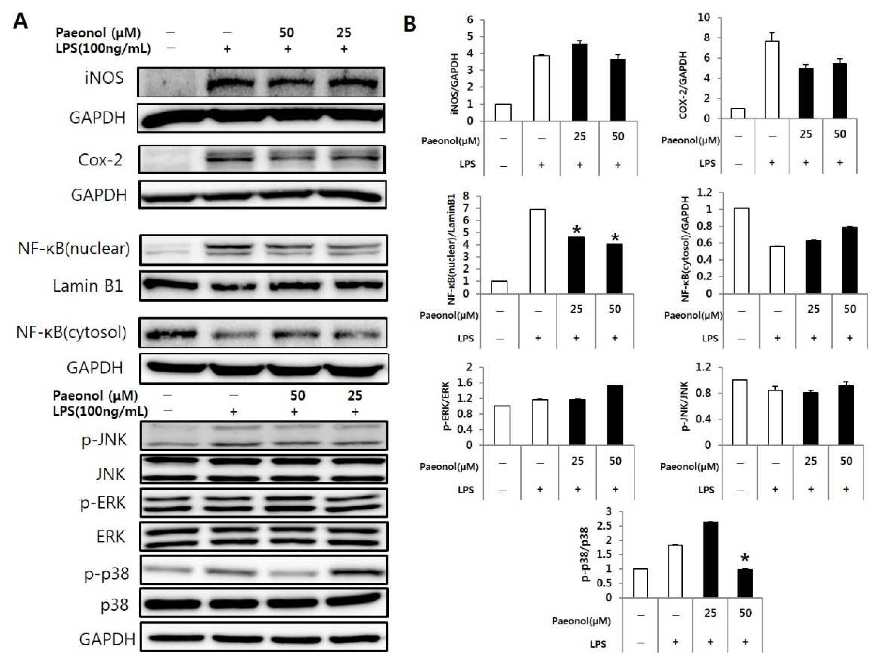 Biomolecules 12 01634 g007 Biomolecules 12 01634 g007
