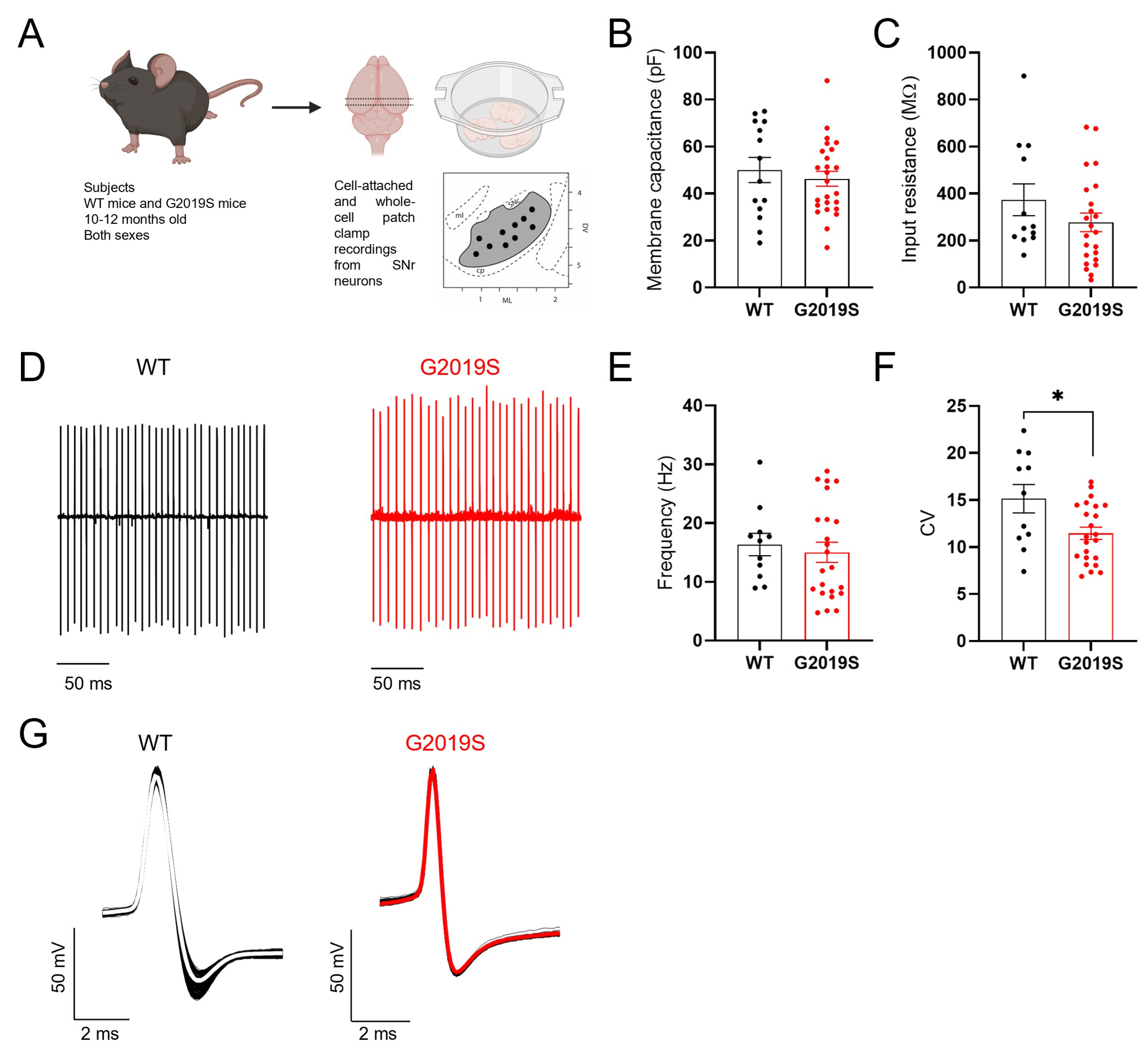 Biomolecules 12 01635 g001 Biomolecules 12 01635 g001