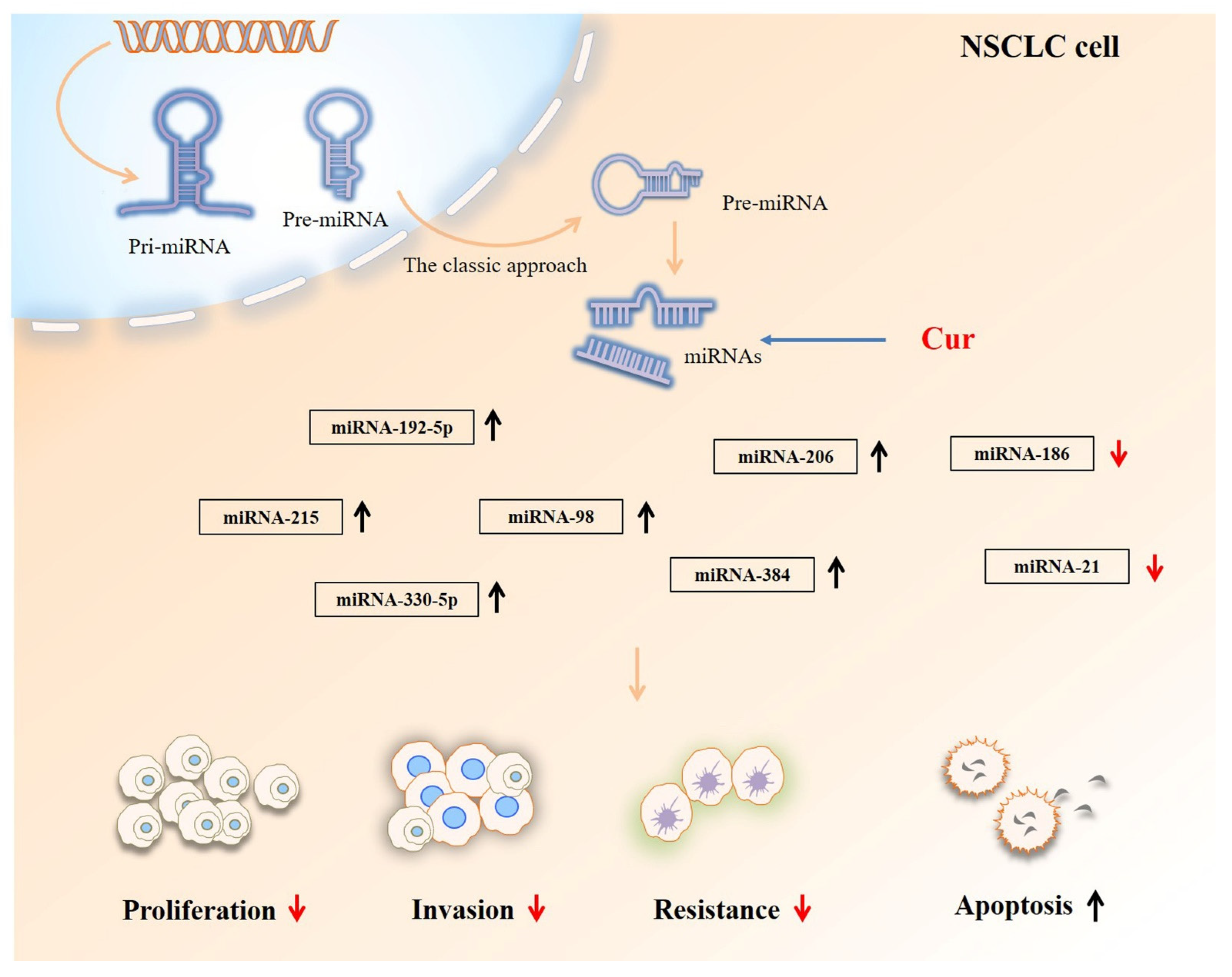 Biomolecules 12 01636 g003