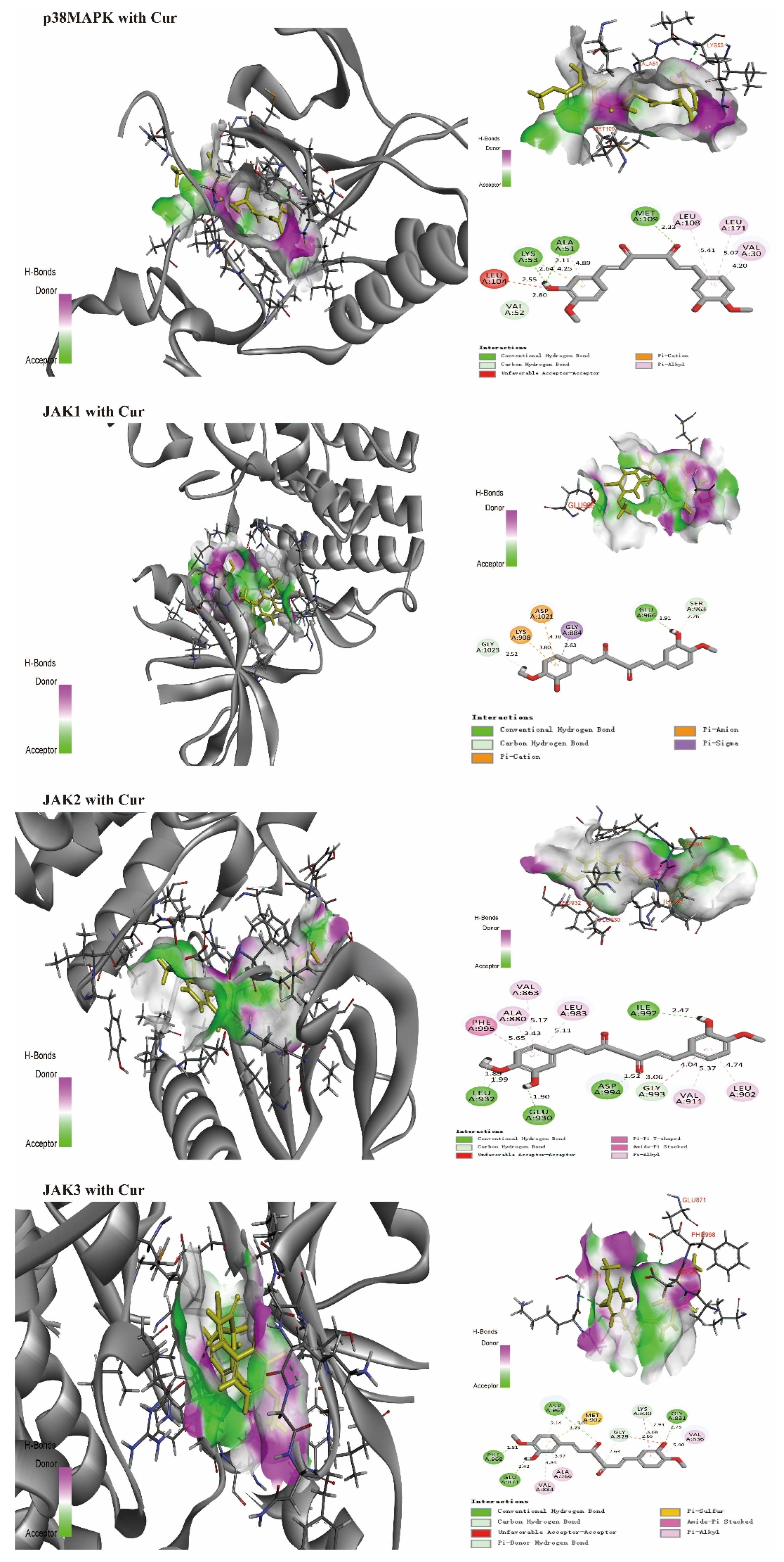 Biomolecules 12 01636 g004a