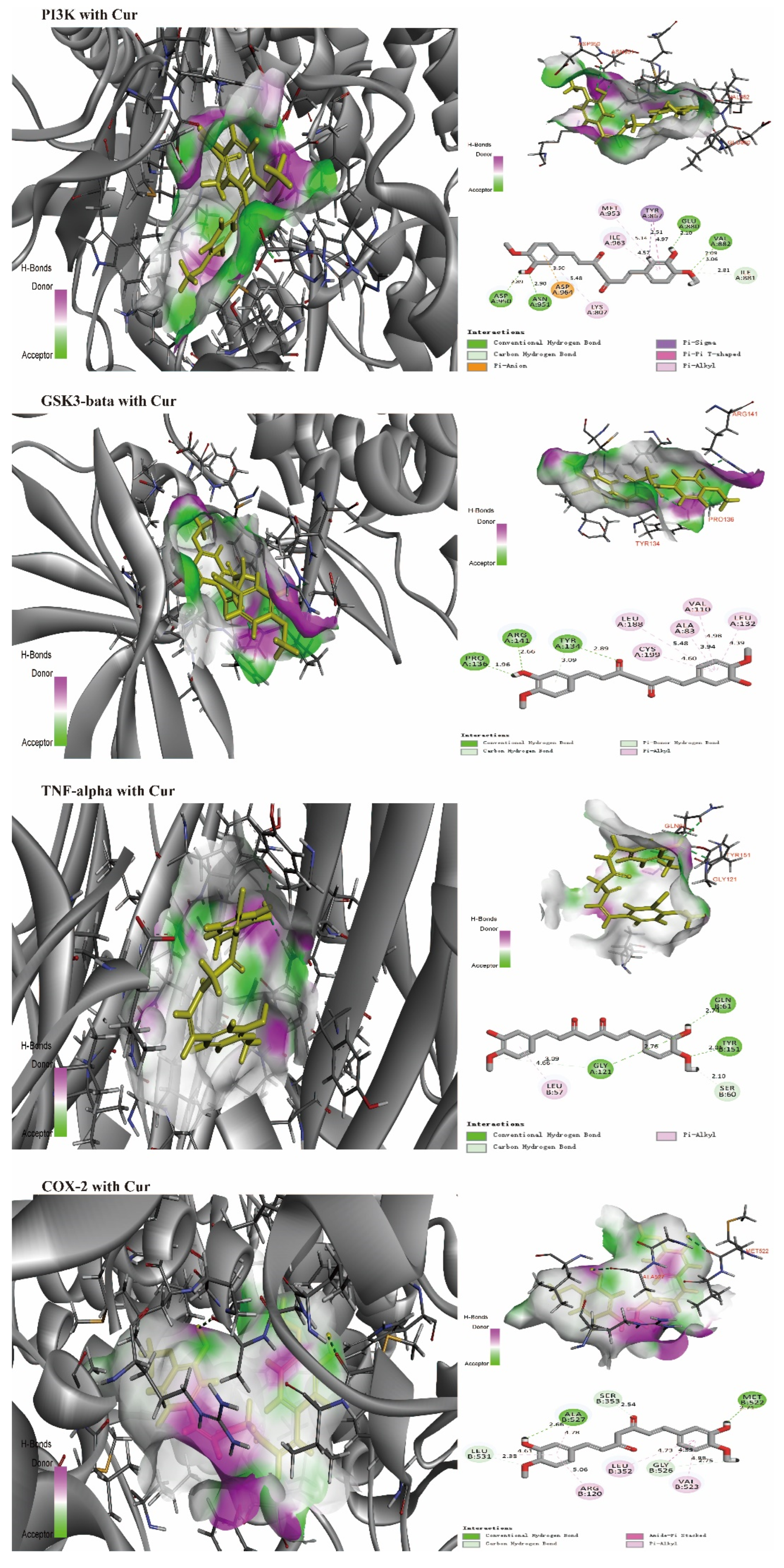 Biomolecules 12 01636 g004b